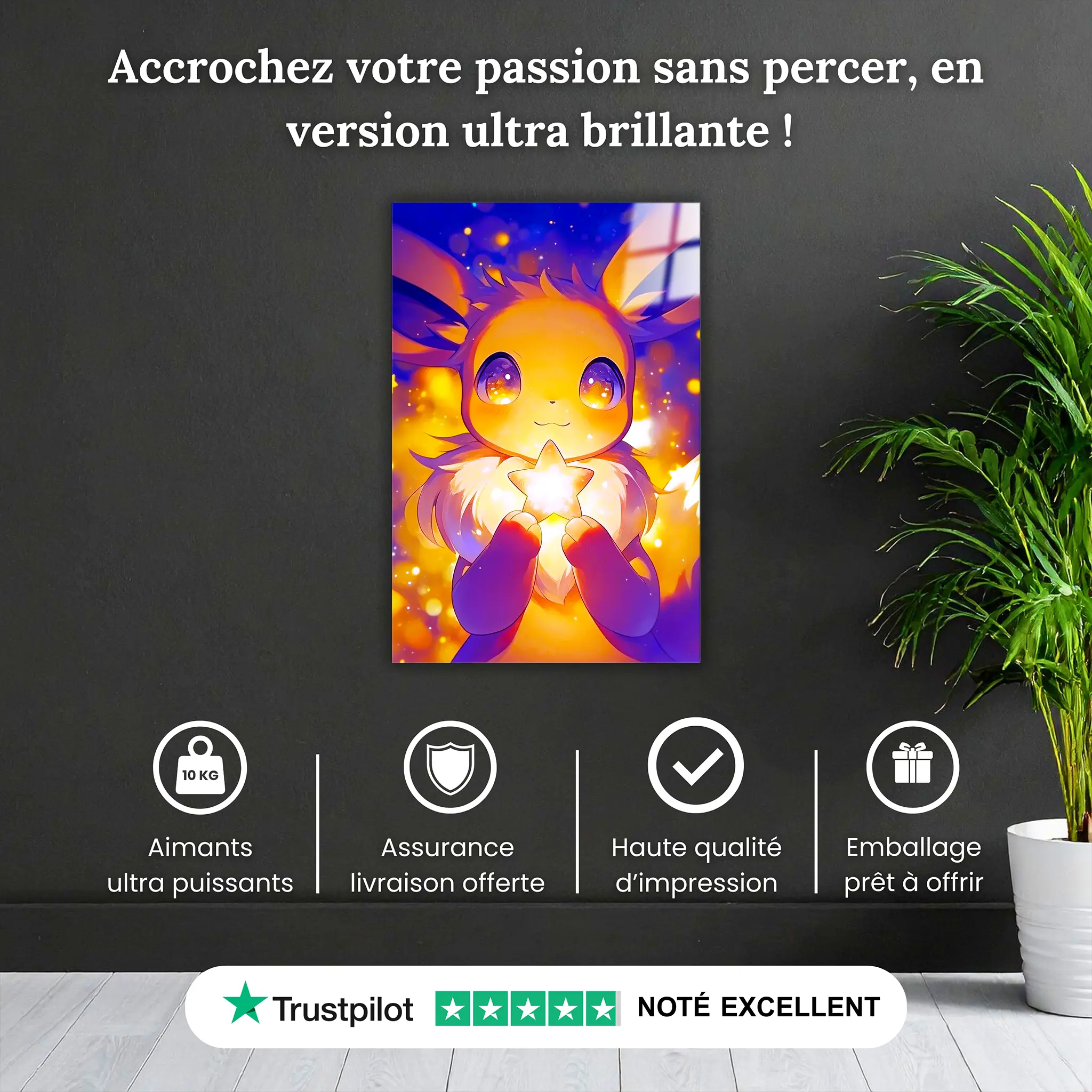 Tableau-pokemon-evoli-etoile-pourquoi-acheter | DreamWay