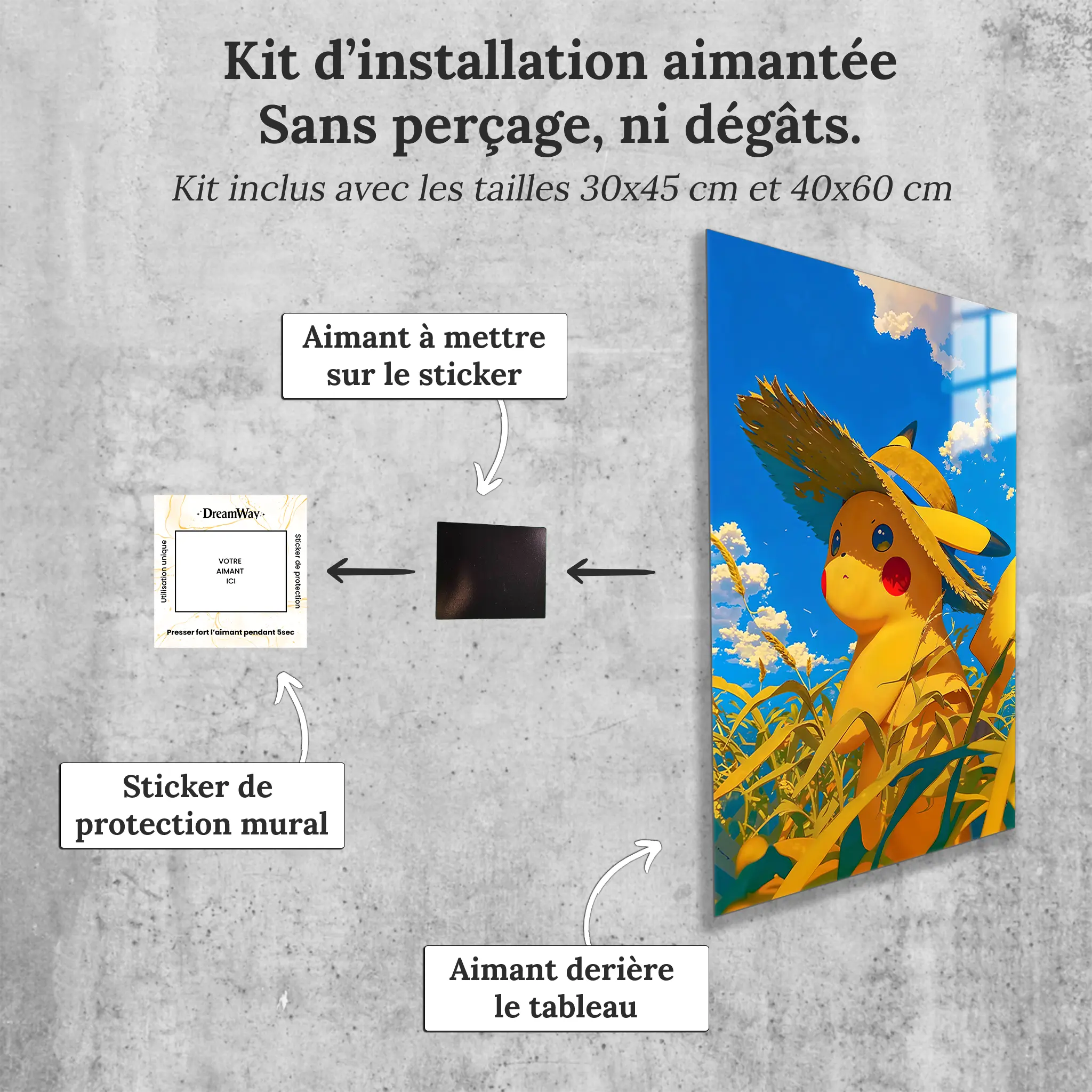 Tableau-pokemon-pikachu-campagne-avec-installation-aimantee | DreamWay