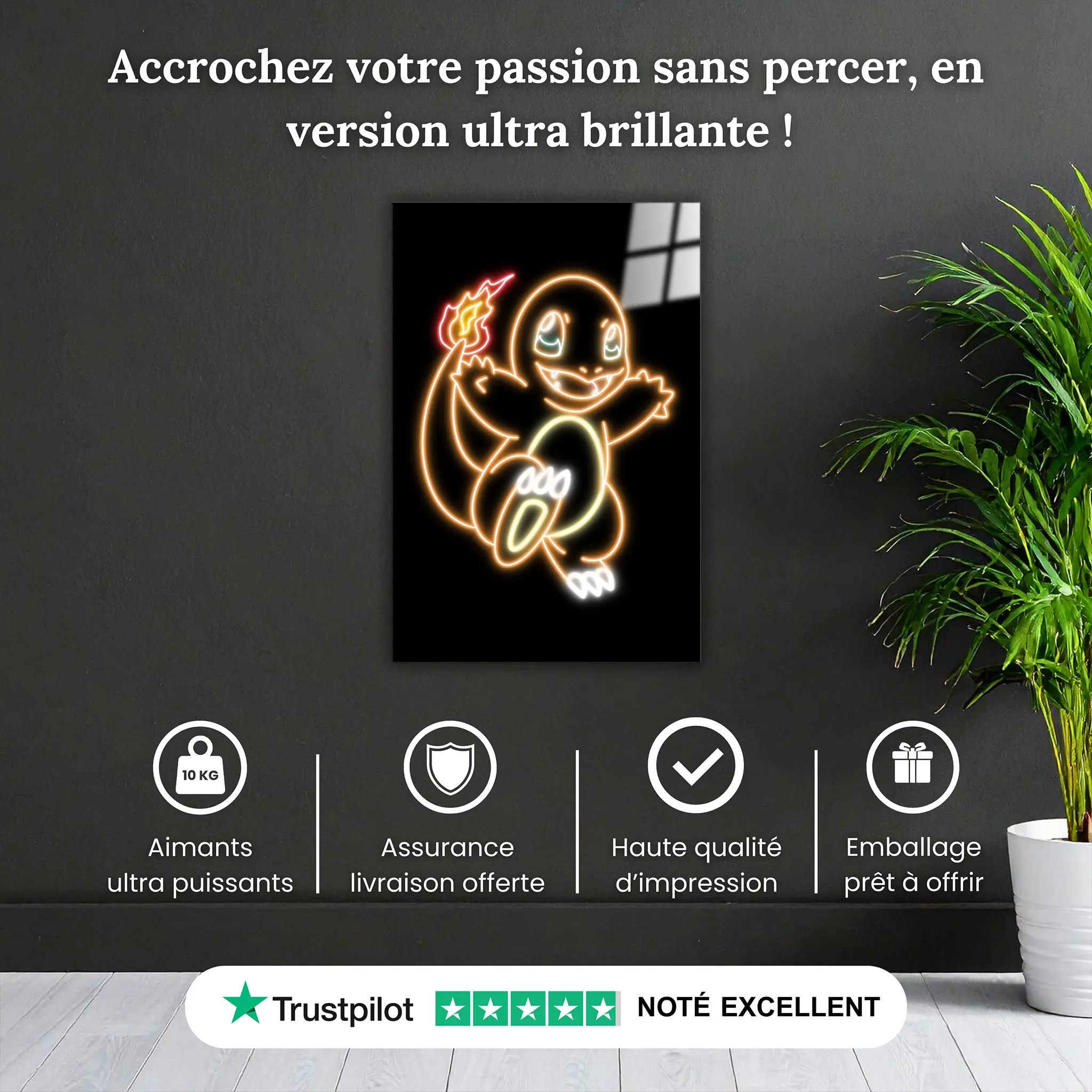 Tableau-pokemon-salameche-neon-pourquoi-acheter | DreamWay