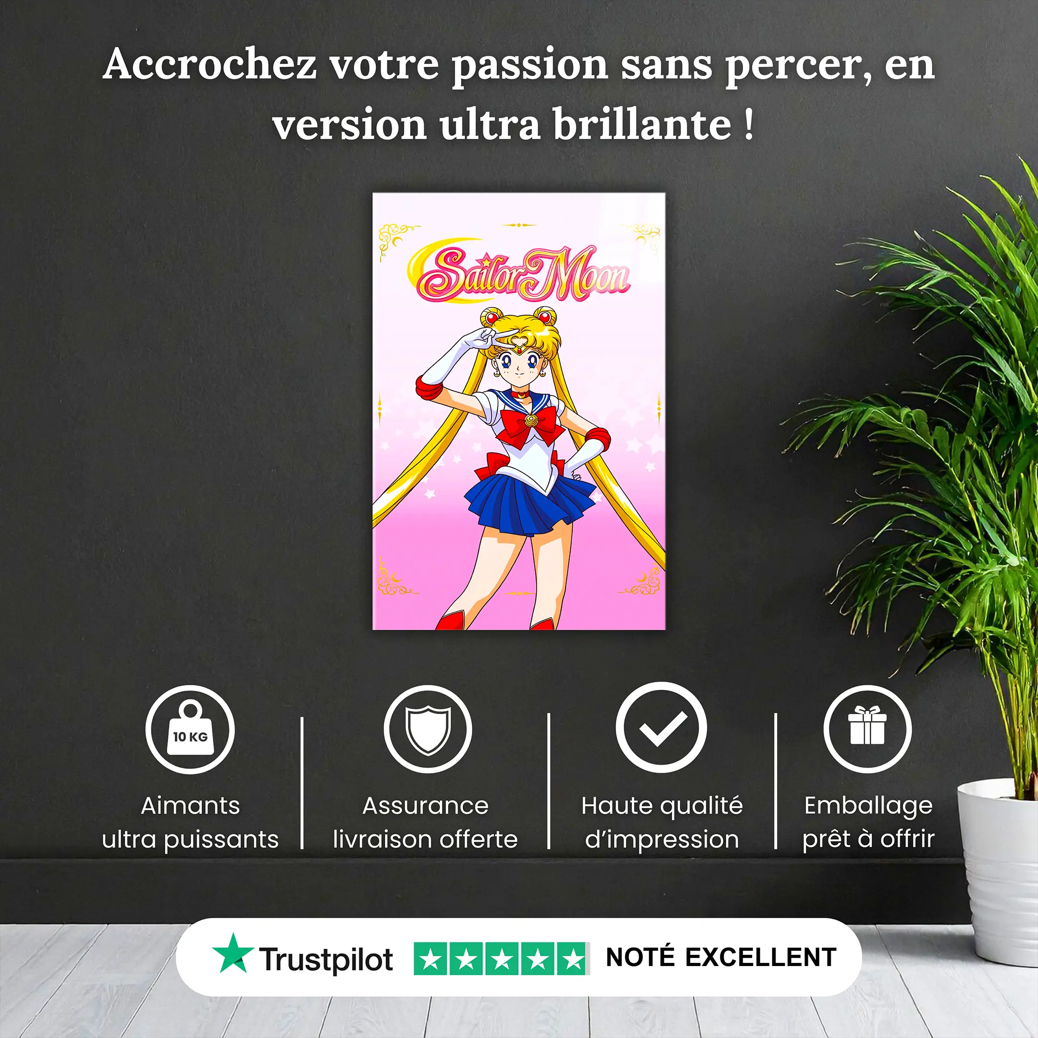 Tableau-sailor-moon-affiche-pourquoi-acheter | DreamWay