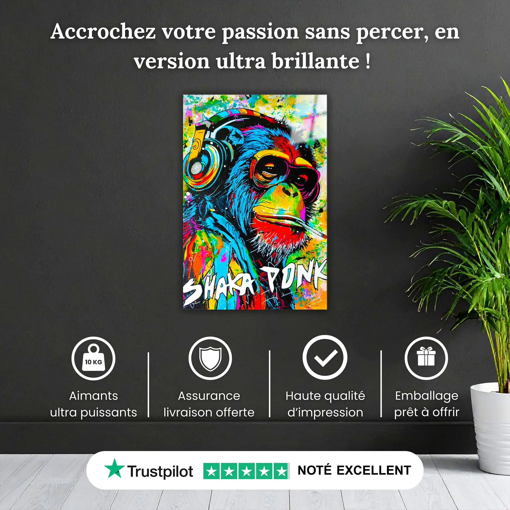 Tableau-shaka-ponk-pop-art-pourquoi-acheter | DreamWay