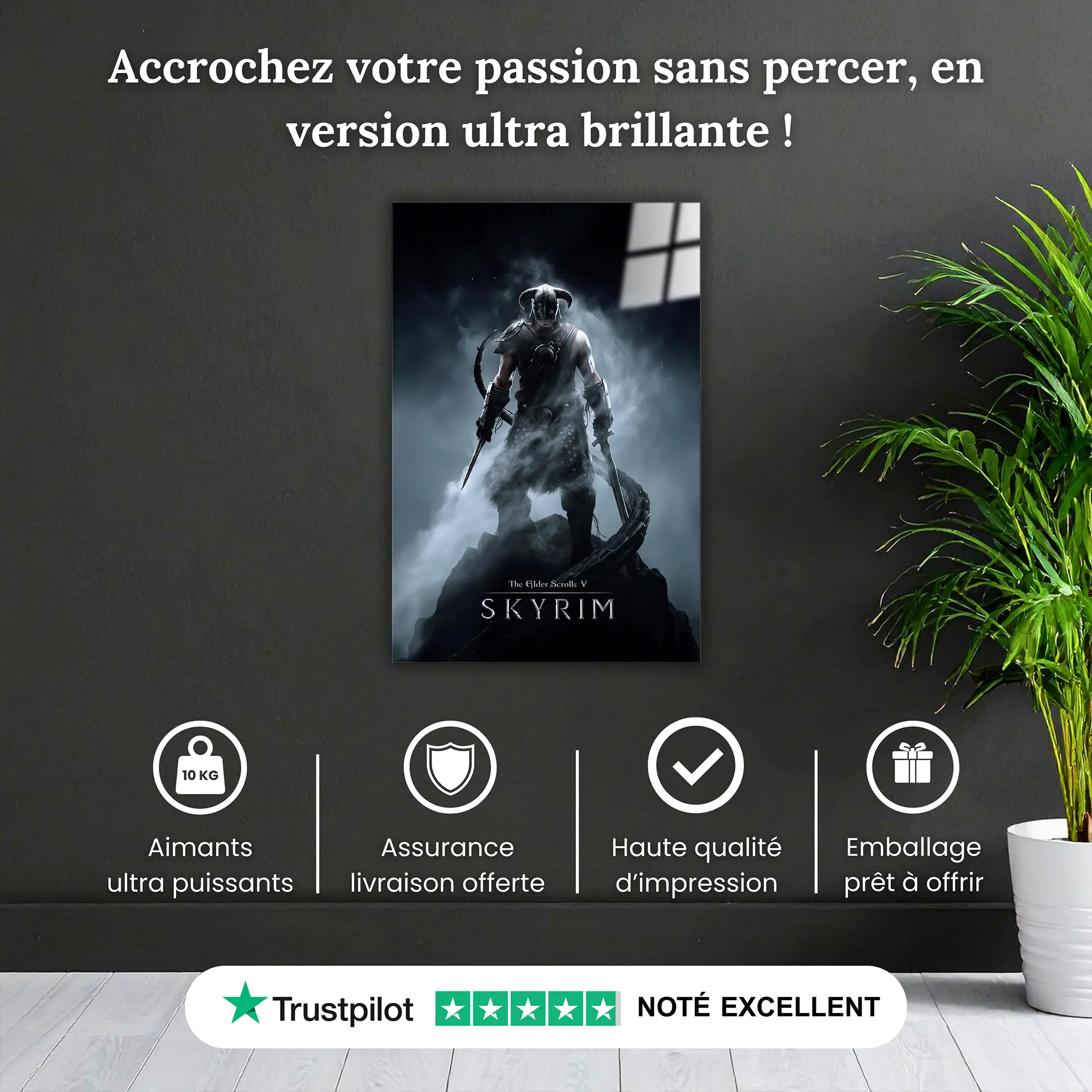 Tableau-skyrim-affiche-pourquoi-acheter | DreamWay