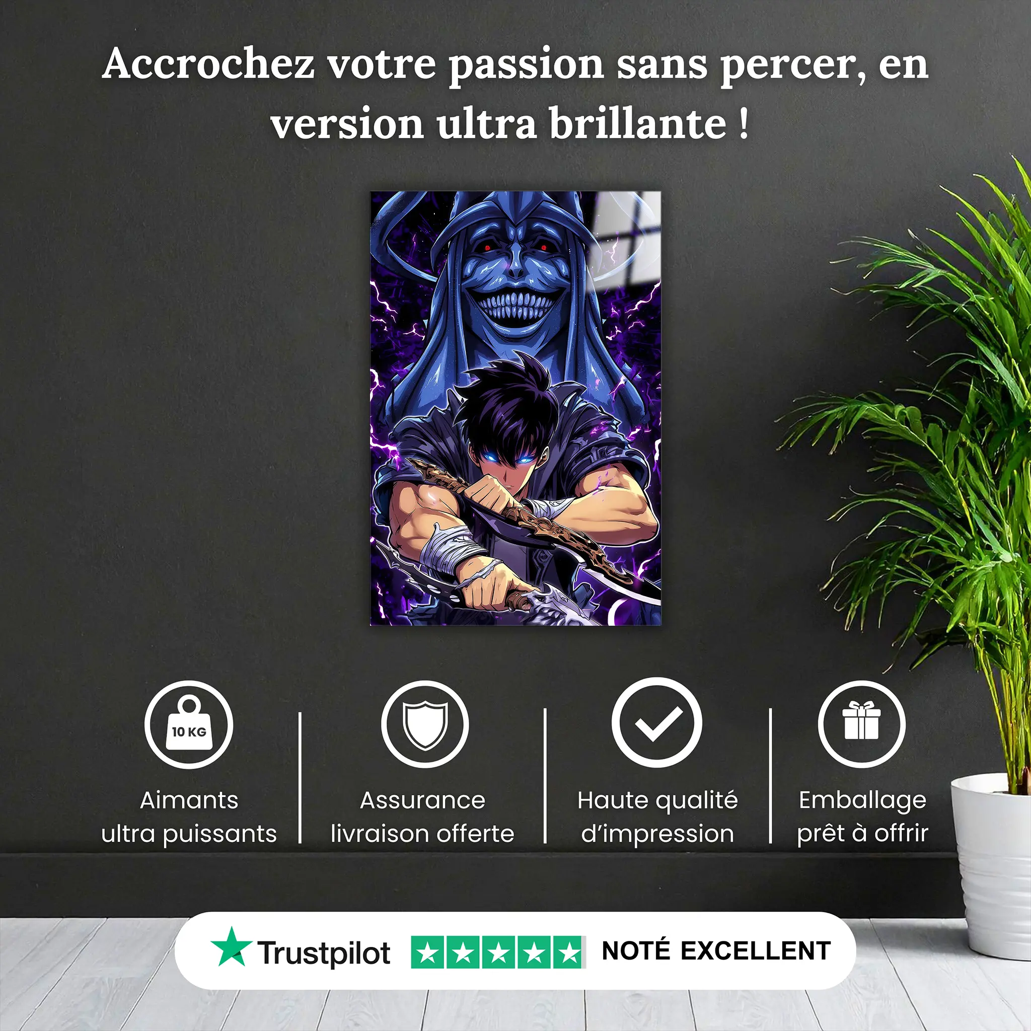 Tableau-solo-leveling-pourquoi-acheter | DreamWay