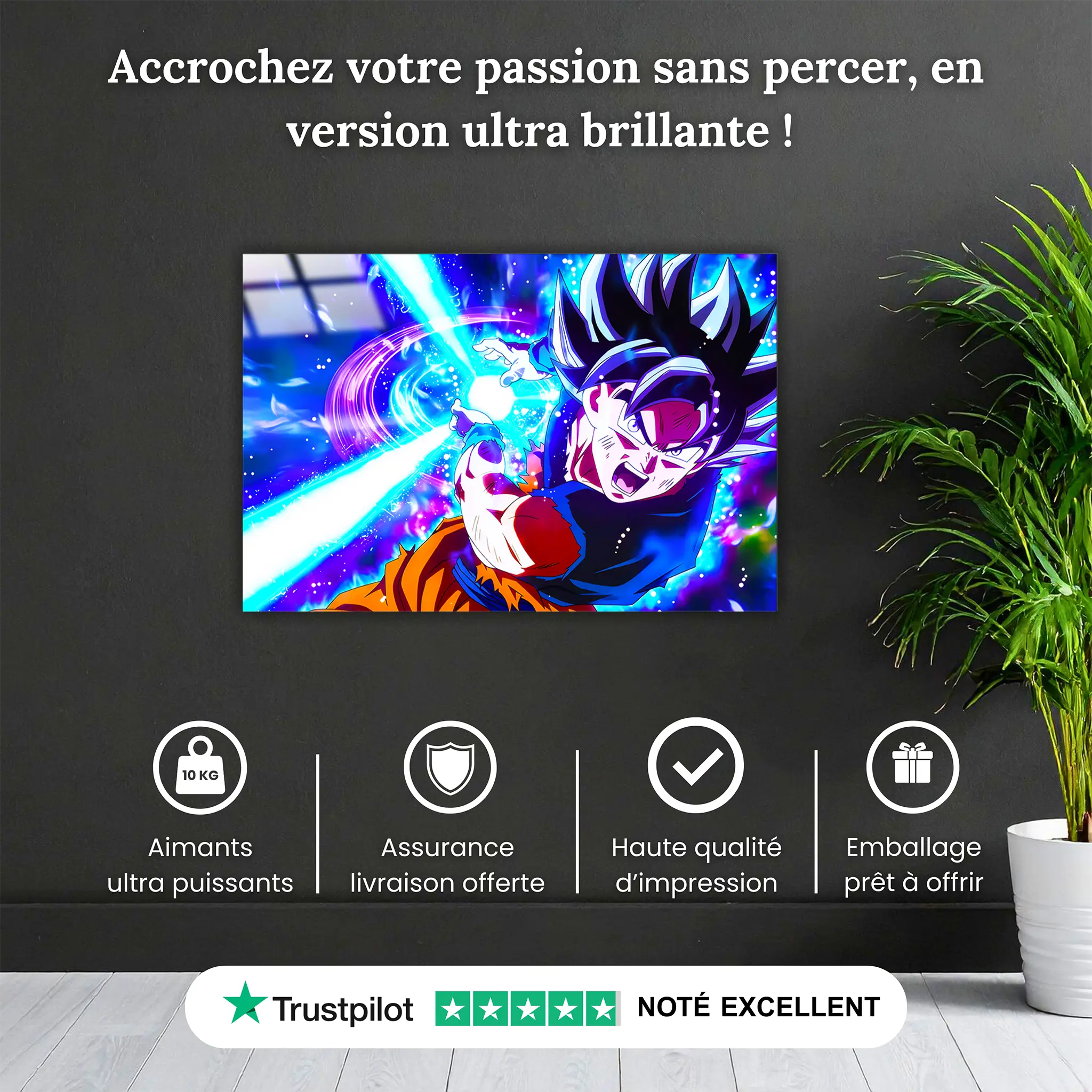 Tableau-son-goku-attaque-kameha-pourquoi-acheter | DreamWay