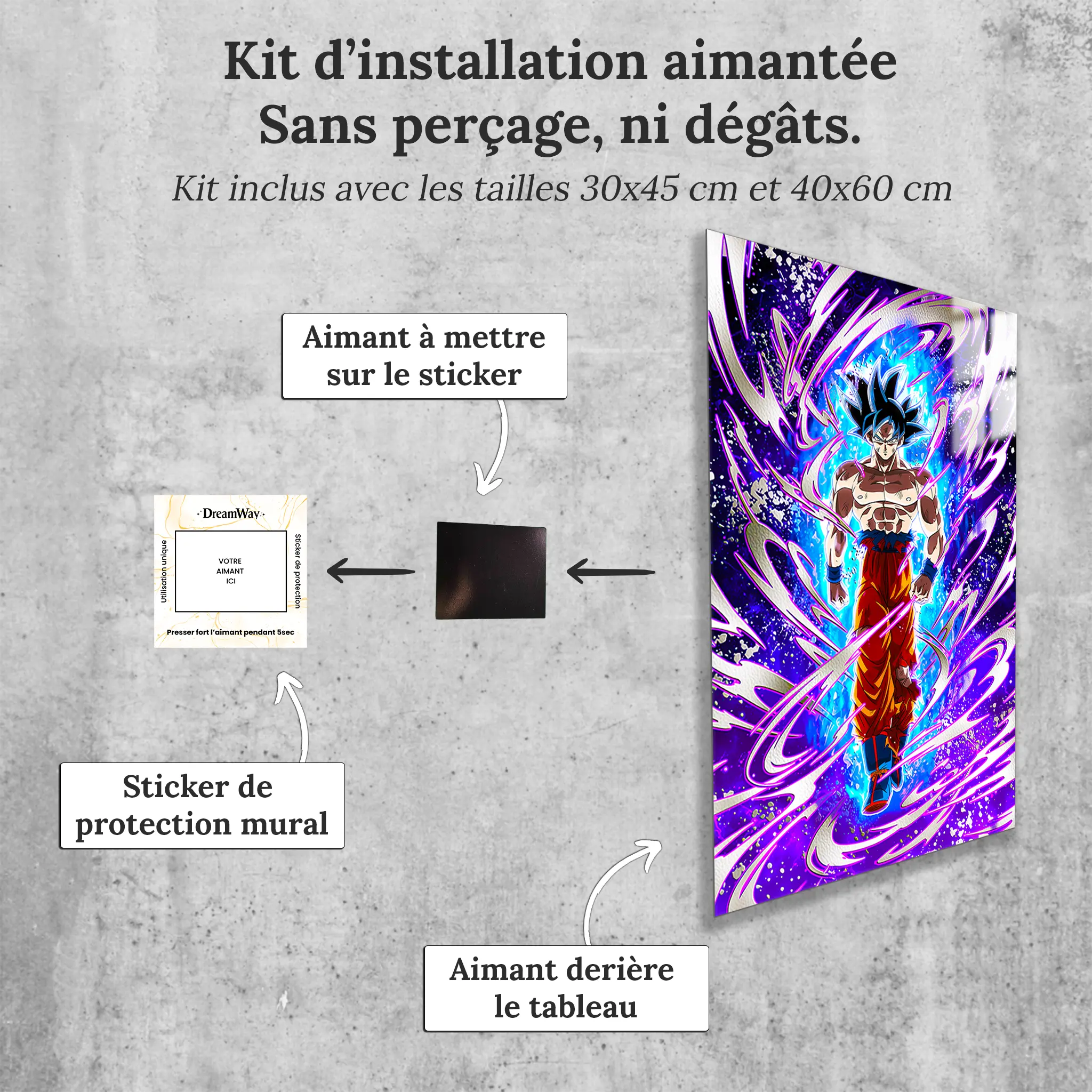 Tableau DBZ Goku Reflexe Transcendantal