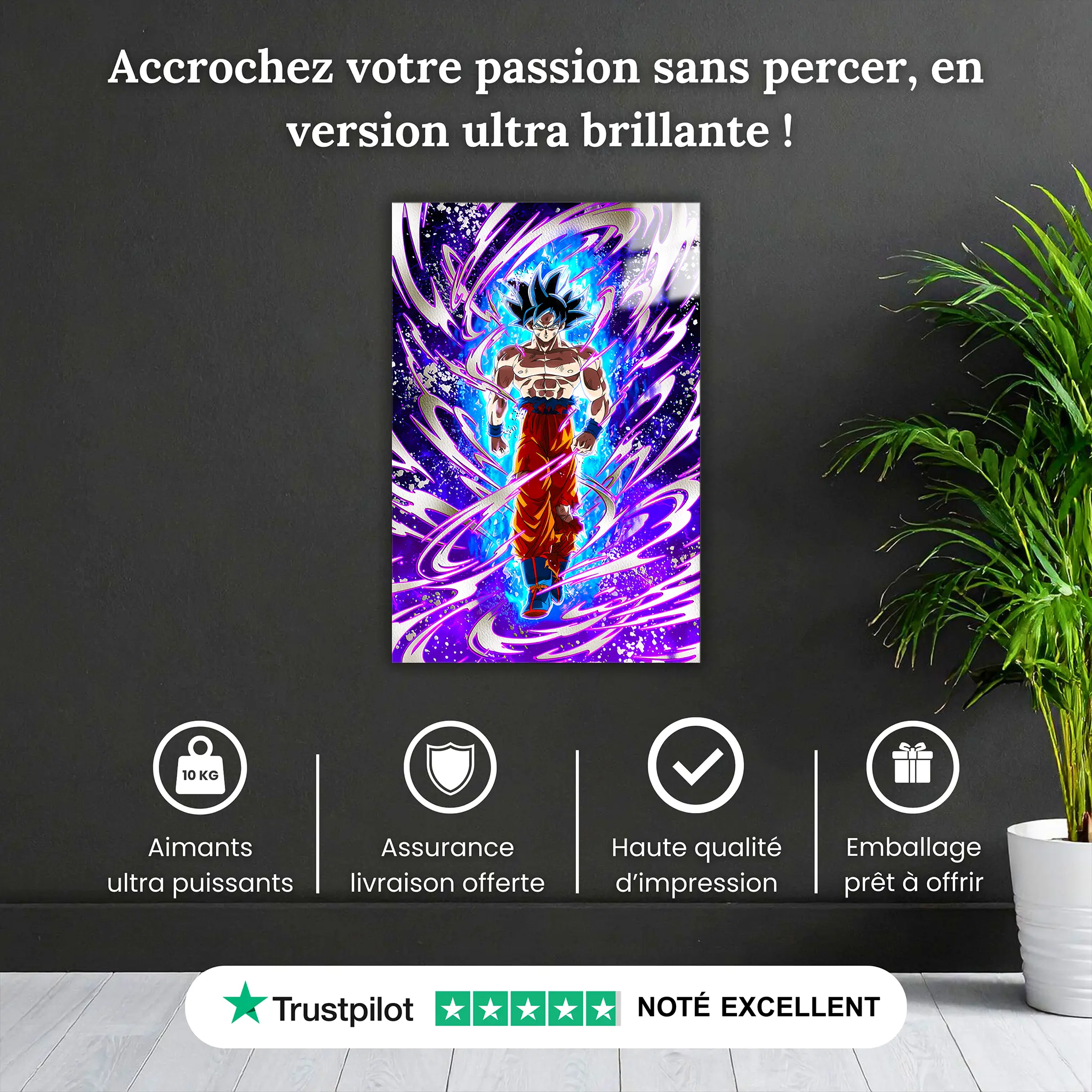 Tableau DBZ Goku Reflexe Transcendantal