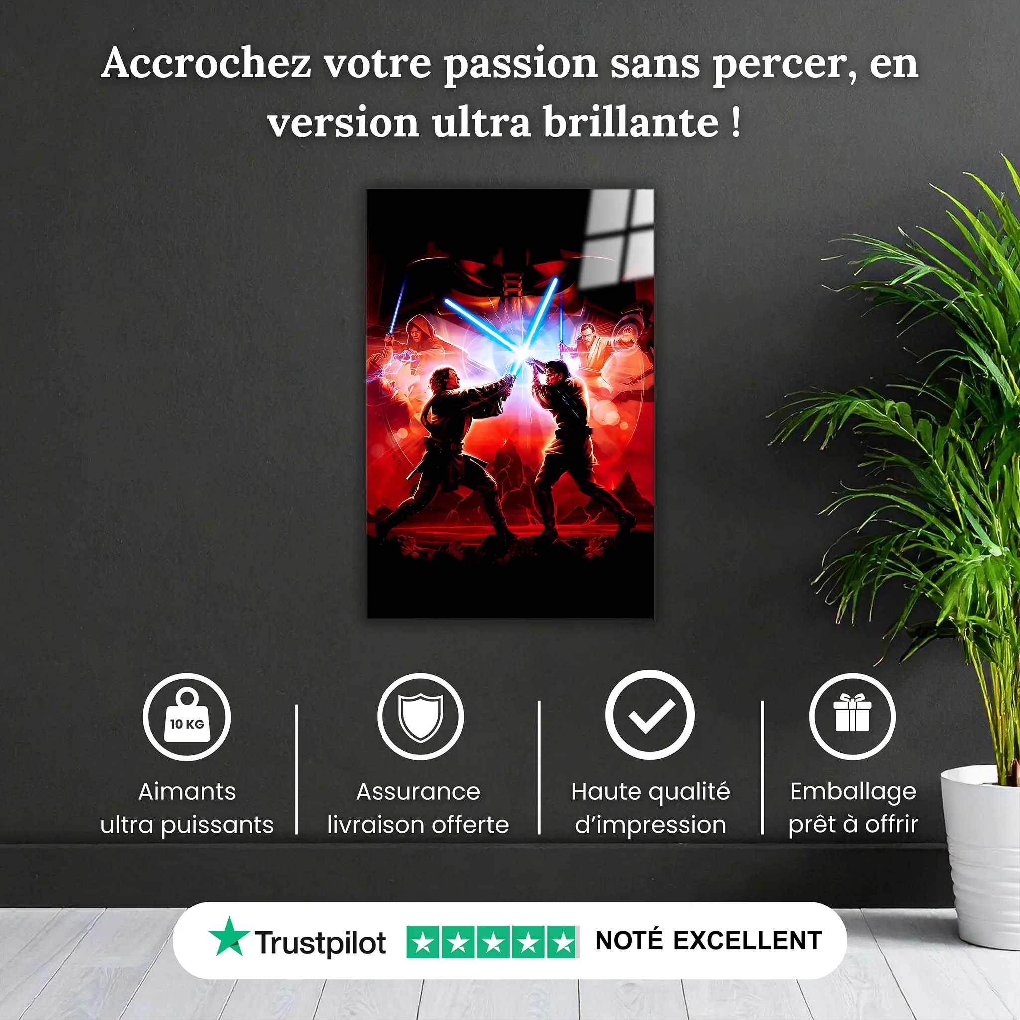 Tableau-star-wars-combat-jedi-pourquoi-acheter | DreamWay