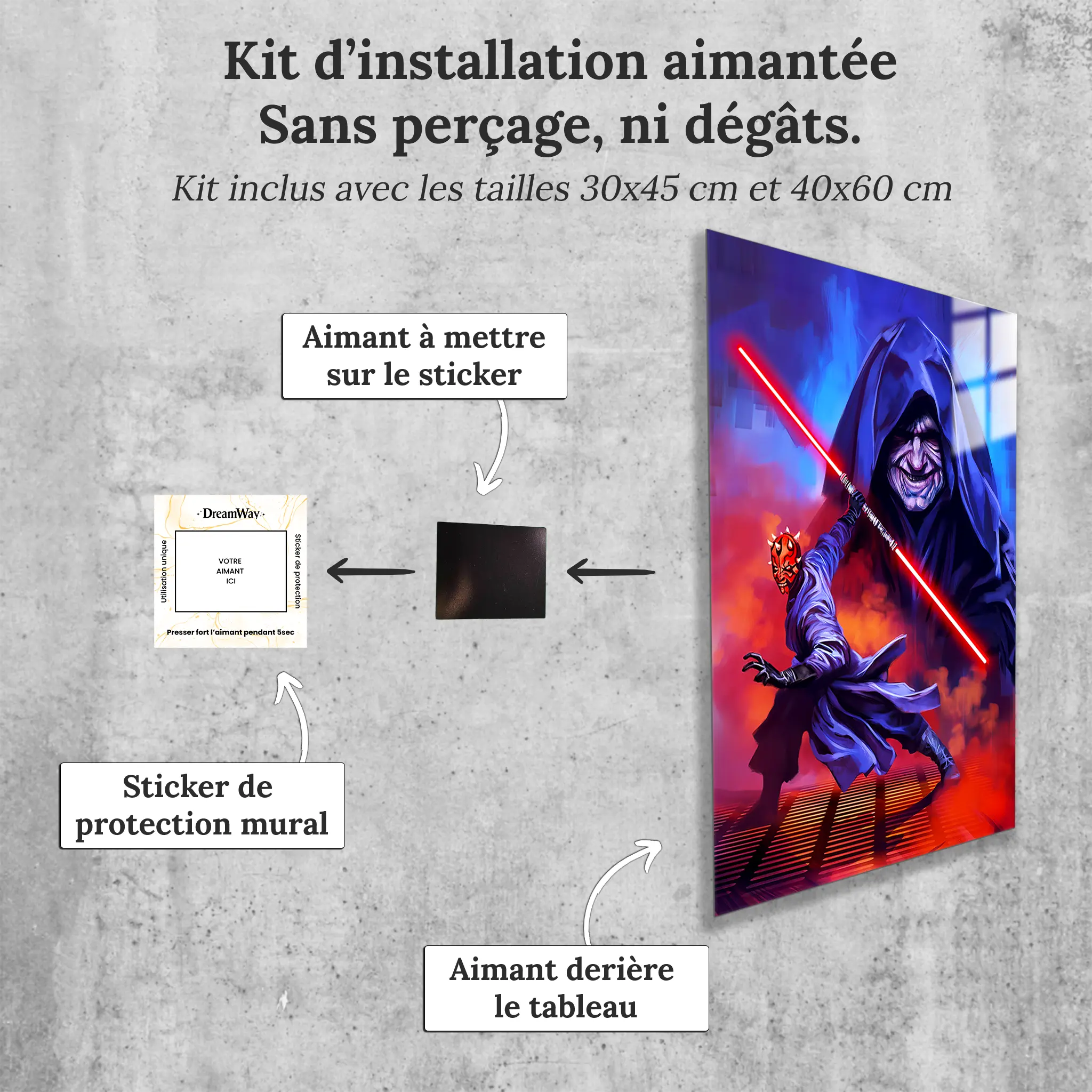 Tableau-star-wars-dark-maul-avec-installation-aimantee | DreamWay