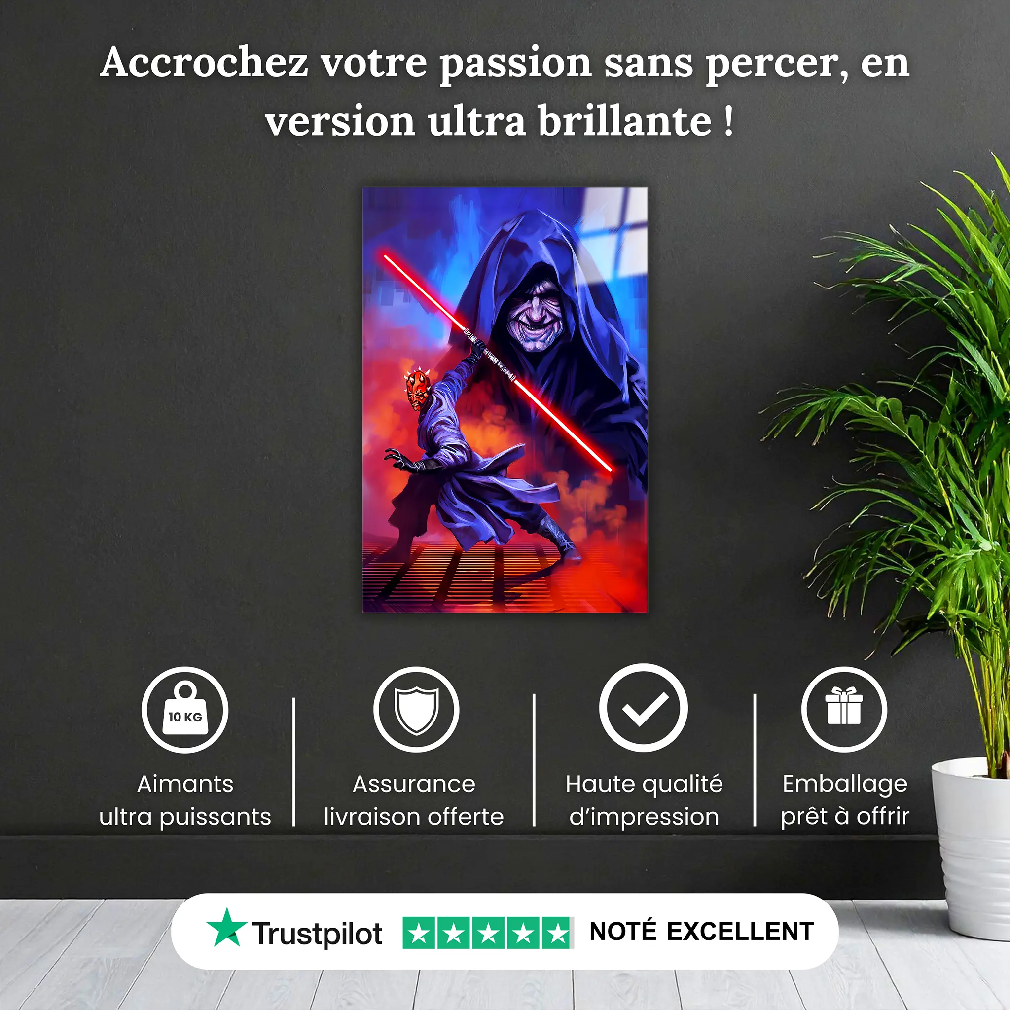 Tableau-star-wars-dark-maul-pourquoi-acheter | DreamWay