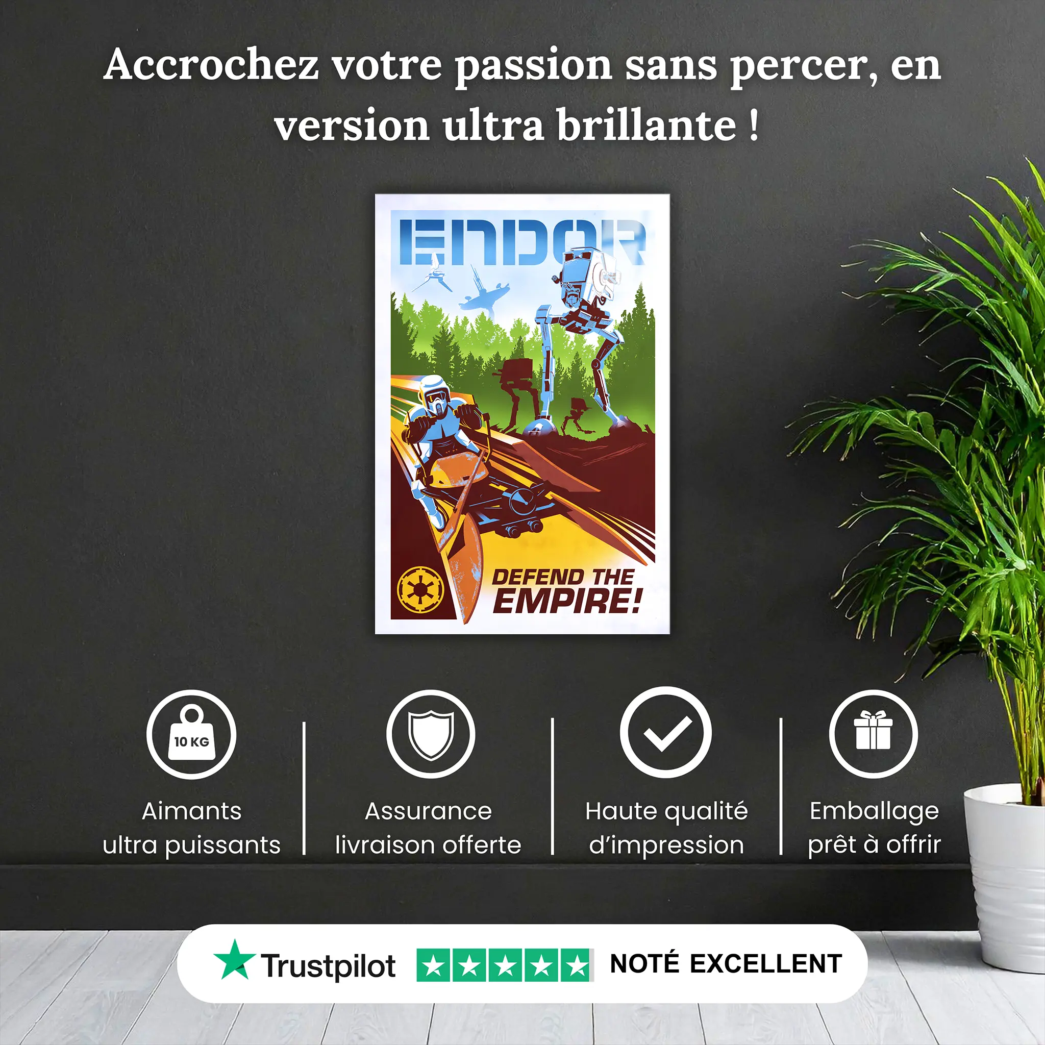 Tableau-star-wars-endor-affiche-pourquoi-acheter | DreamWay