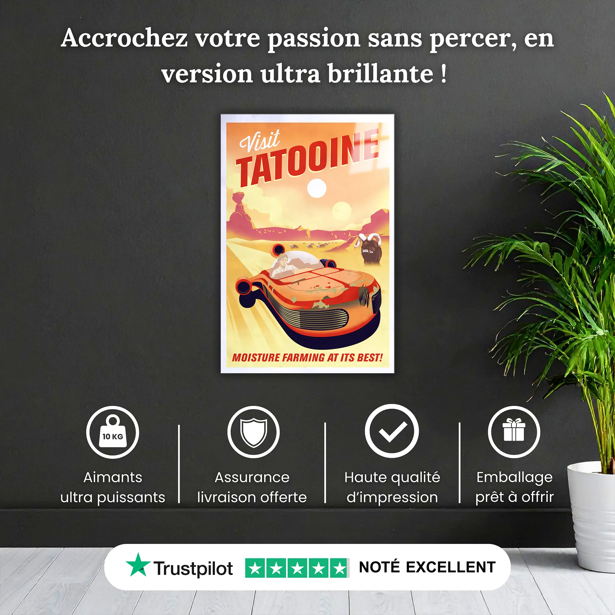 Tableau-star-wars-tatooine-affiche-pourquoi-acheter | DreamWay