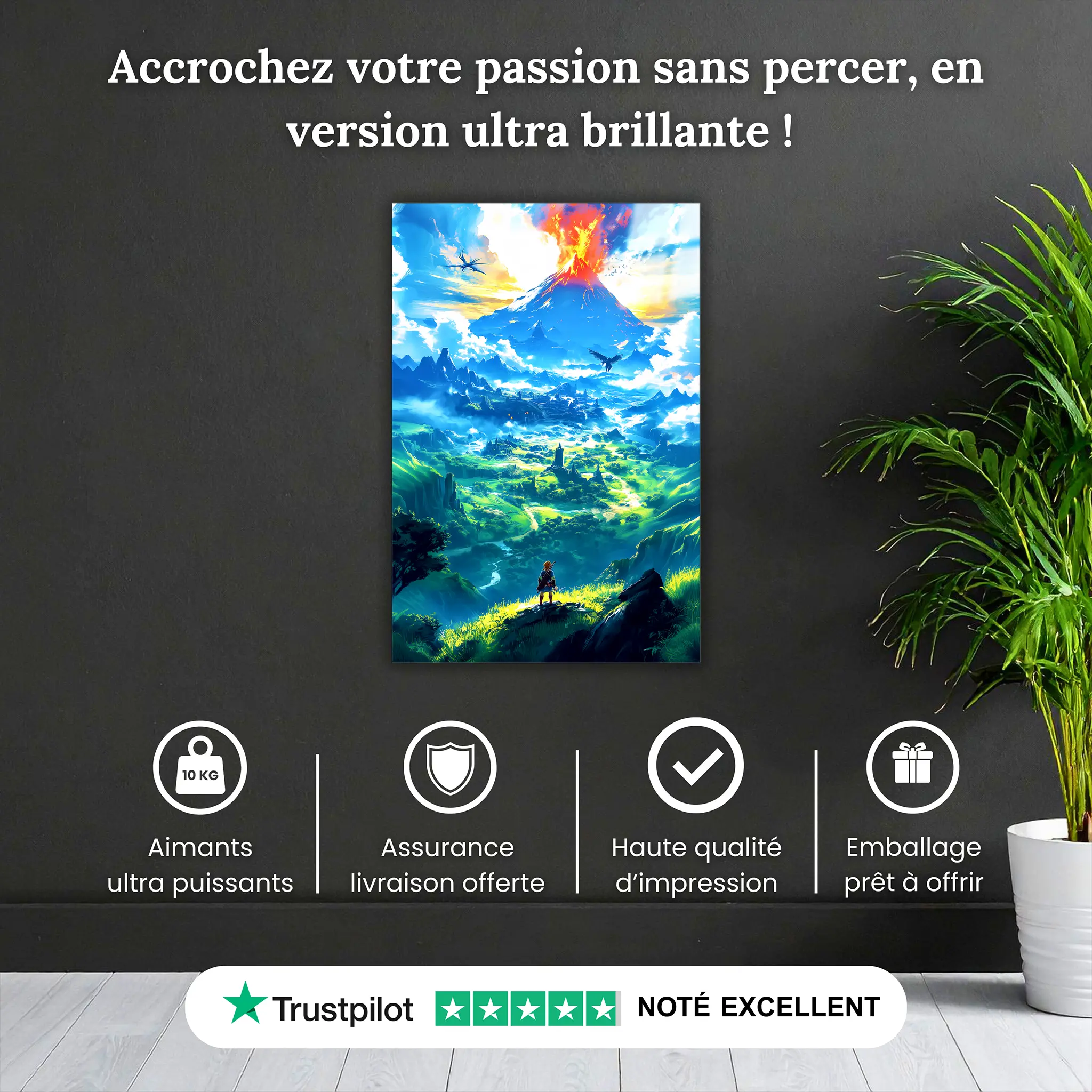 Tableau-zelda-paysage-pourquoi-acheter | DreamWay