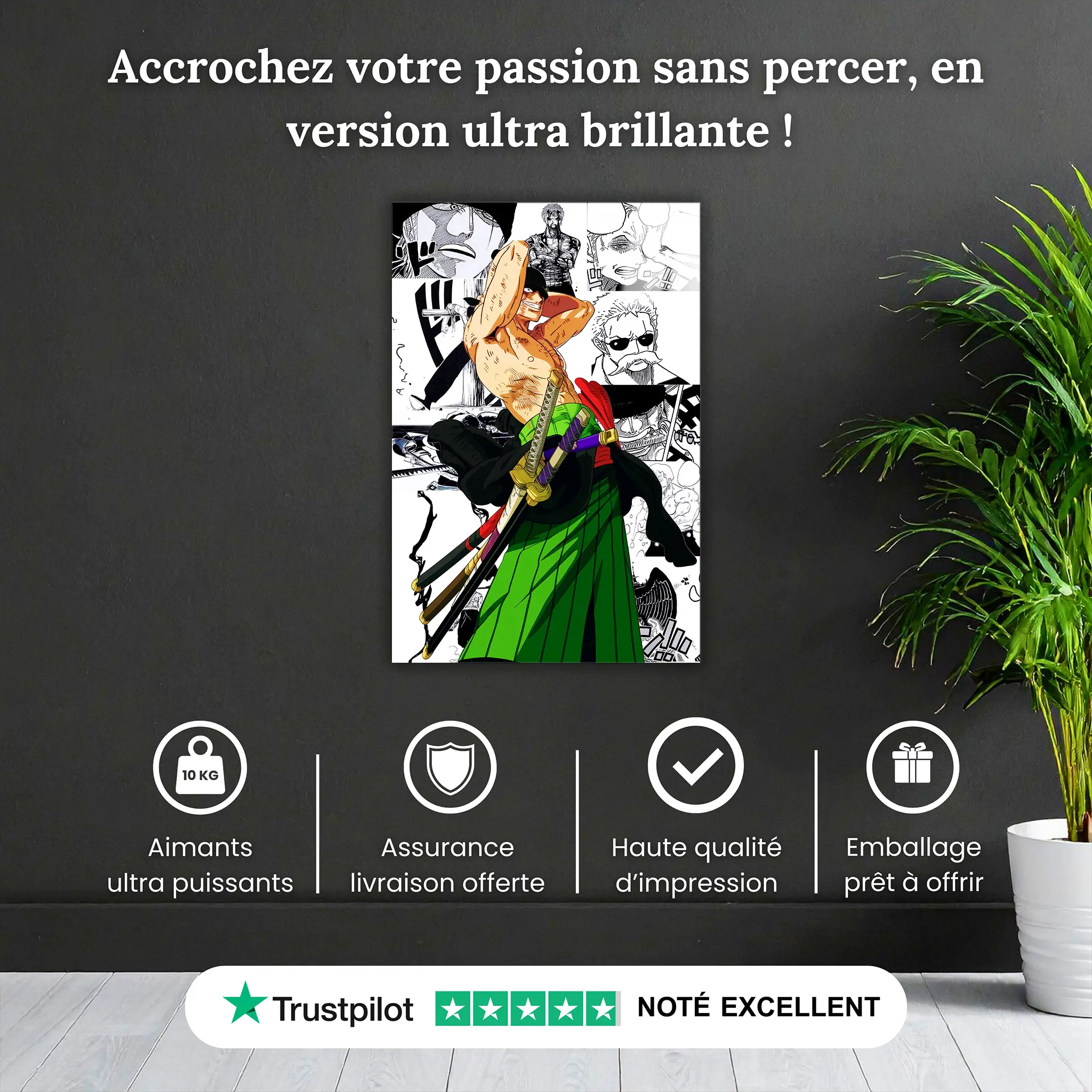 Tableau-zoro-bd-pourquoi-acheter | DreamWay