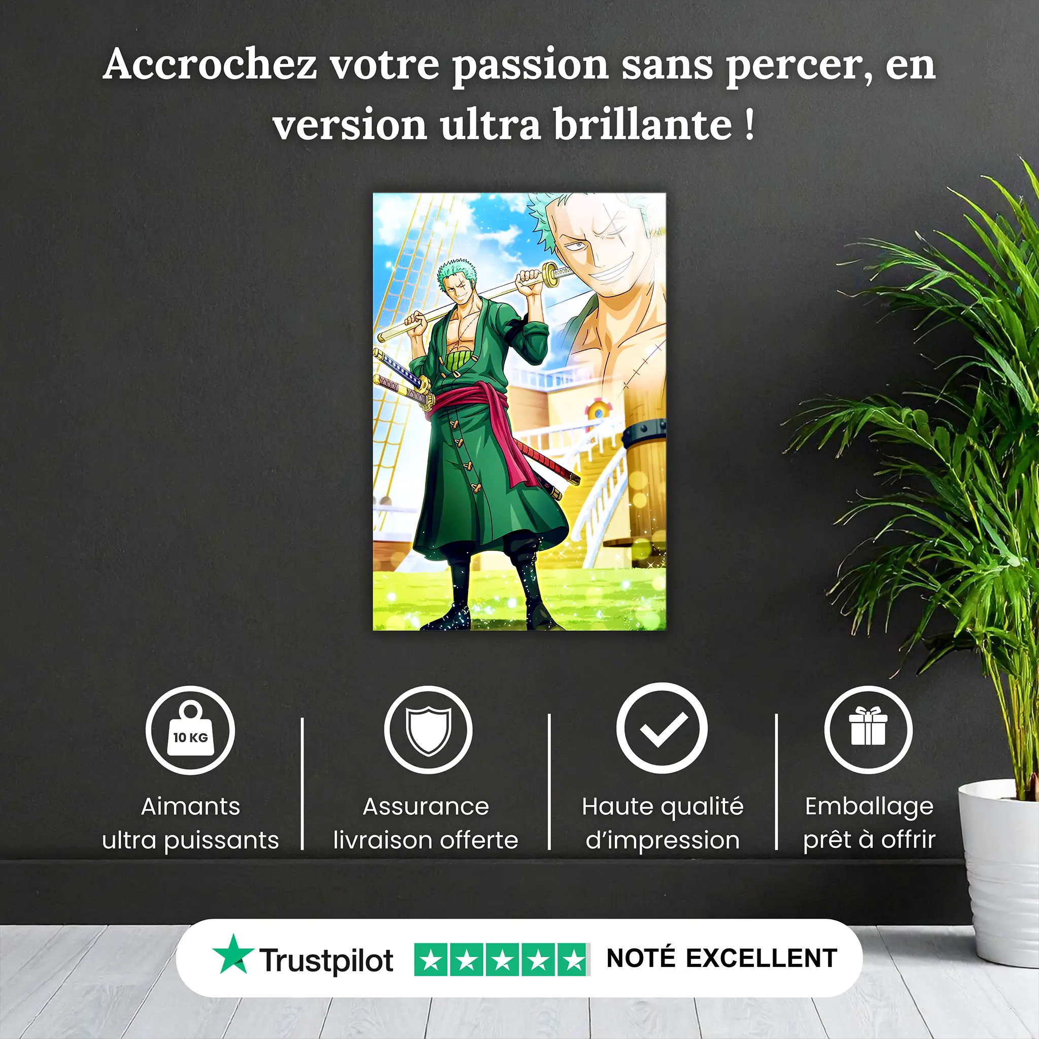 Tableau-zoro-nostalgie-pourquoi-acheter | DreamWay