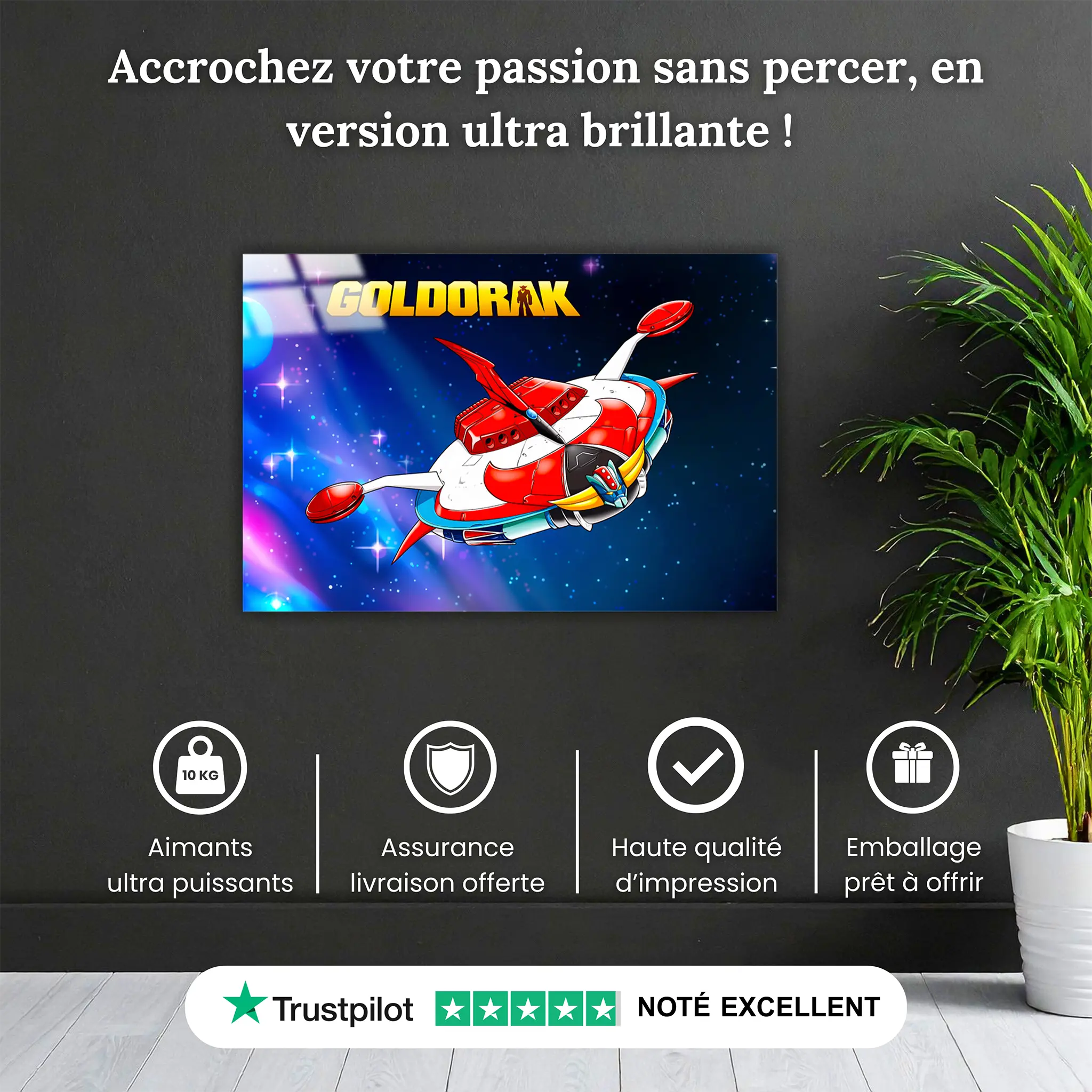 Tableaux-vaisseau-goldorak-paysage-pourquoi-acheter | DreamWay