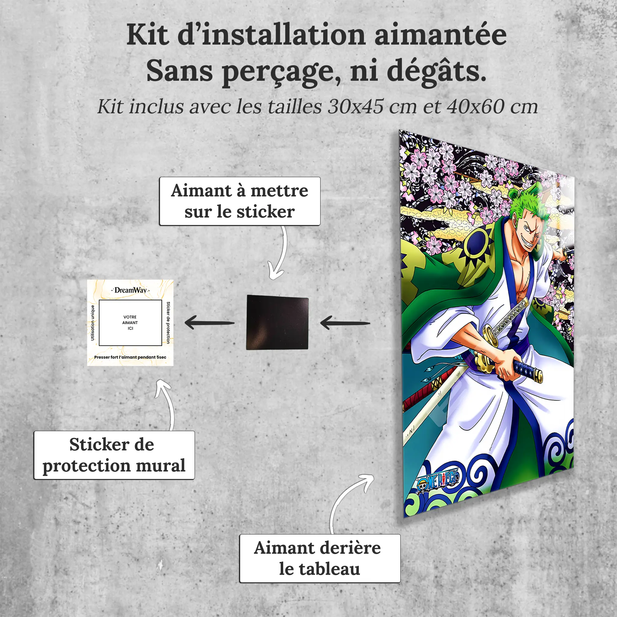 Tableaux-zoro-aux-Pays-deWa-avec-installation-aimantee | DreamWay