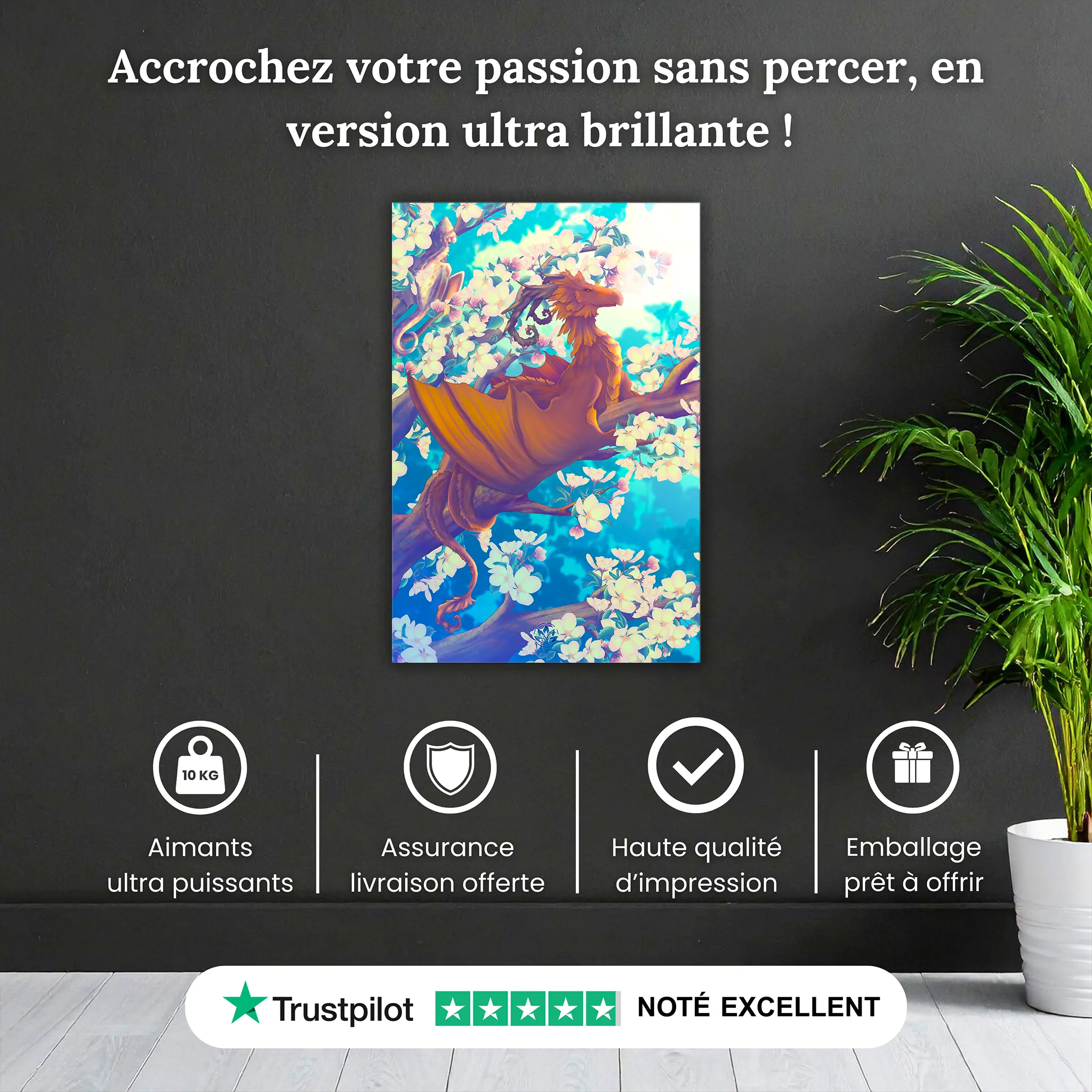 dragon-de-bois-pourquoi-acheter | DreamWay