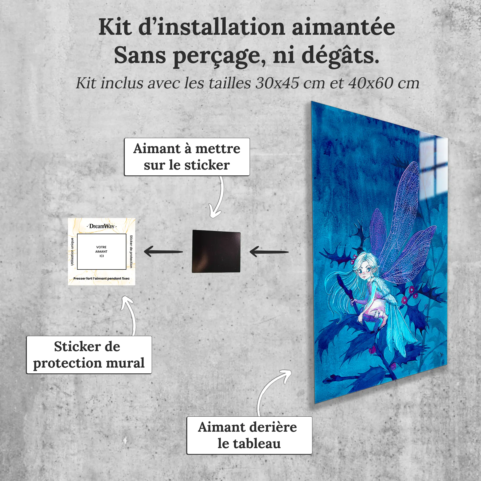 la-fee-du-givre-avec-installation-aimantee | DreamWay