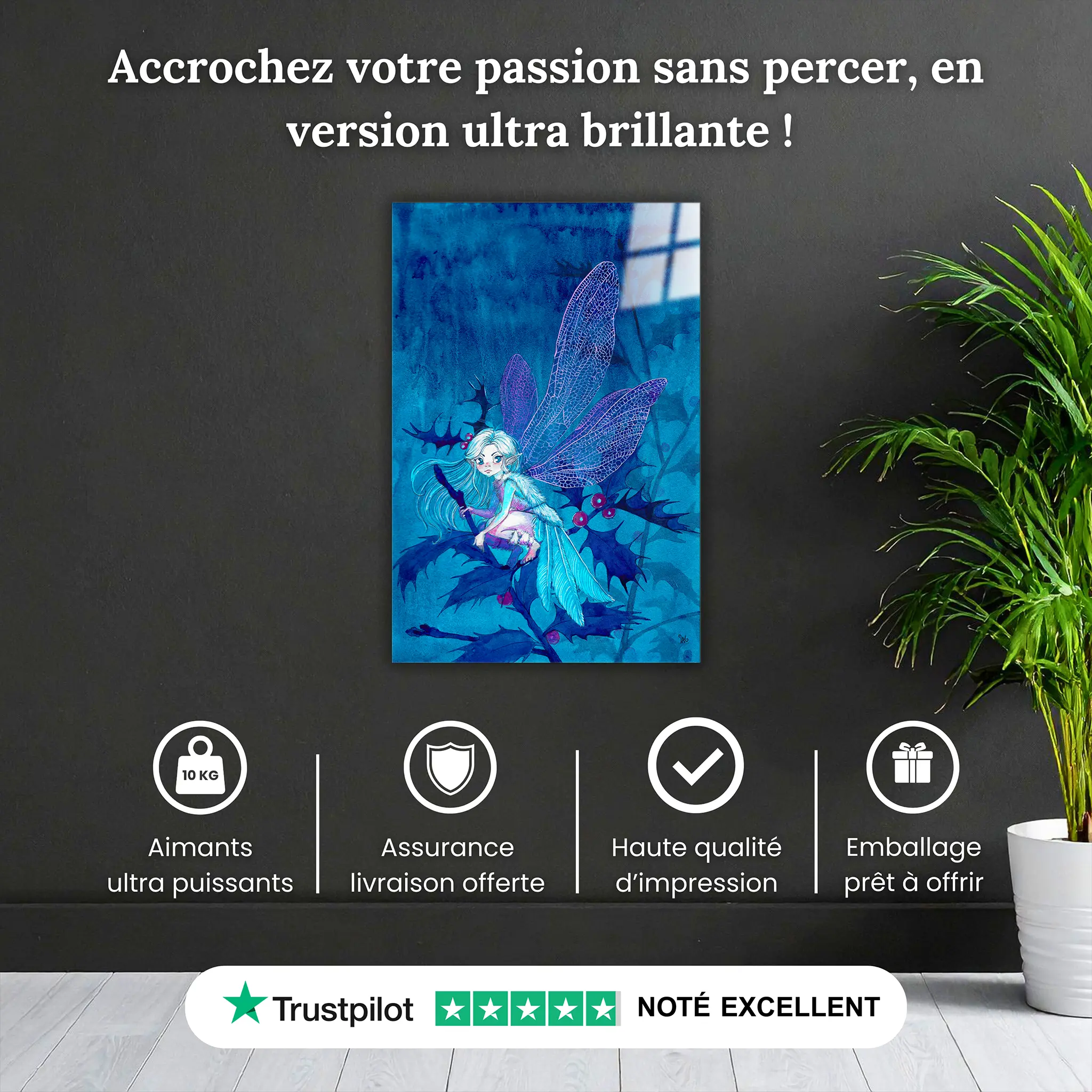 la-fee-du-givre-pourquoi-acheter | DreamWay
