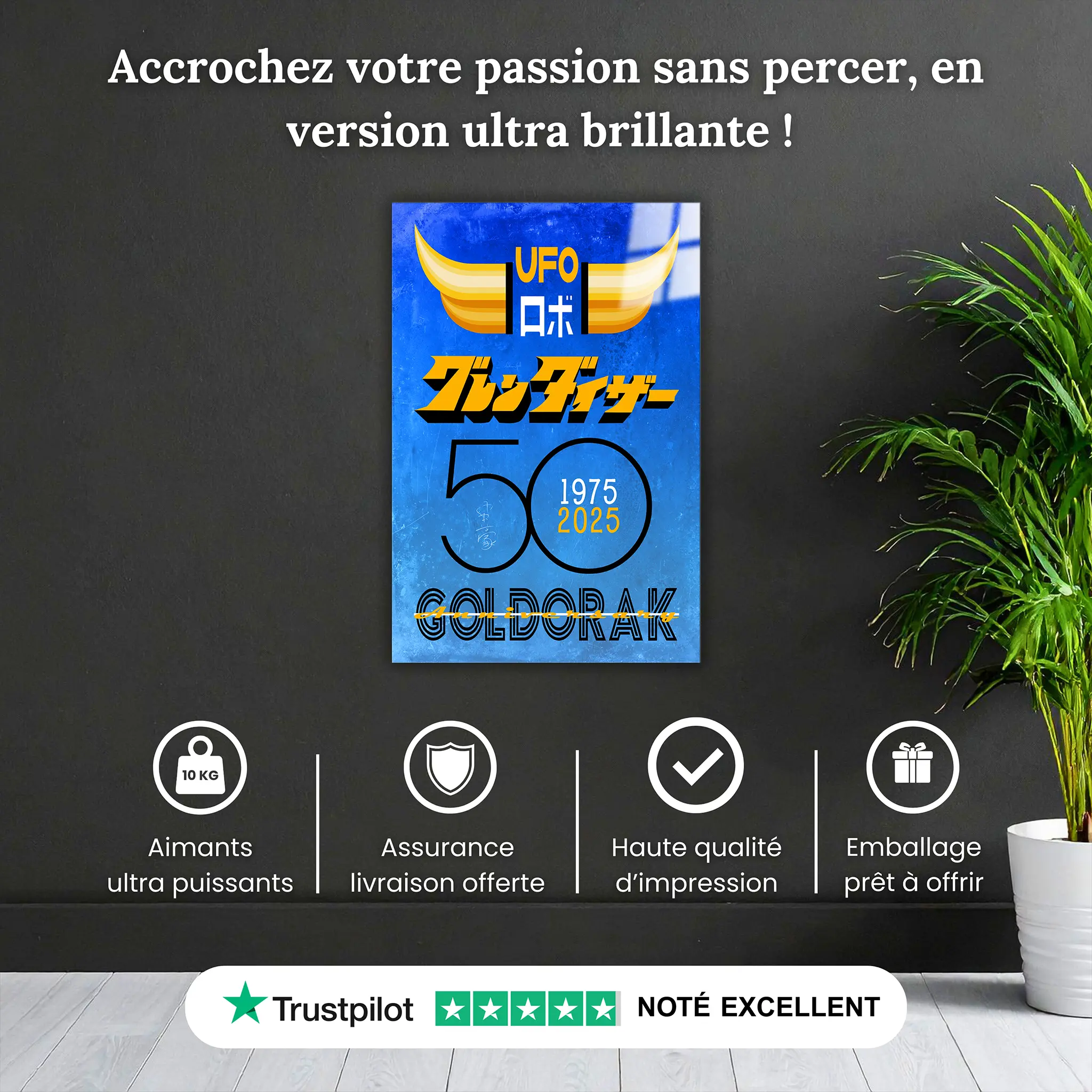 tableau-50-ans-goldorak-affiche-bleu-pourquoi-acheter | DreamWay
