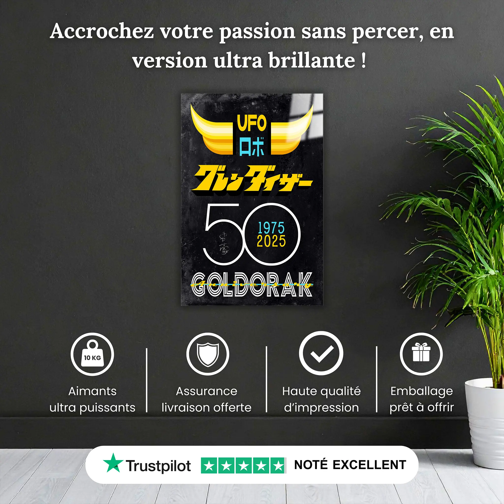 tableau-50-ans-goldorak-affiche-gris-pourquoi-acheter | DreamWay