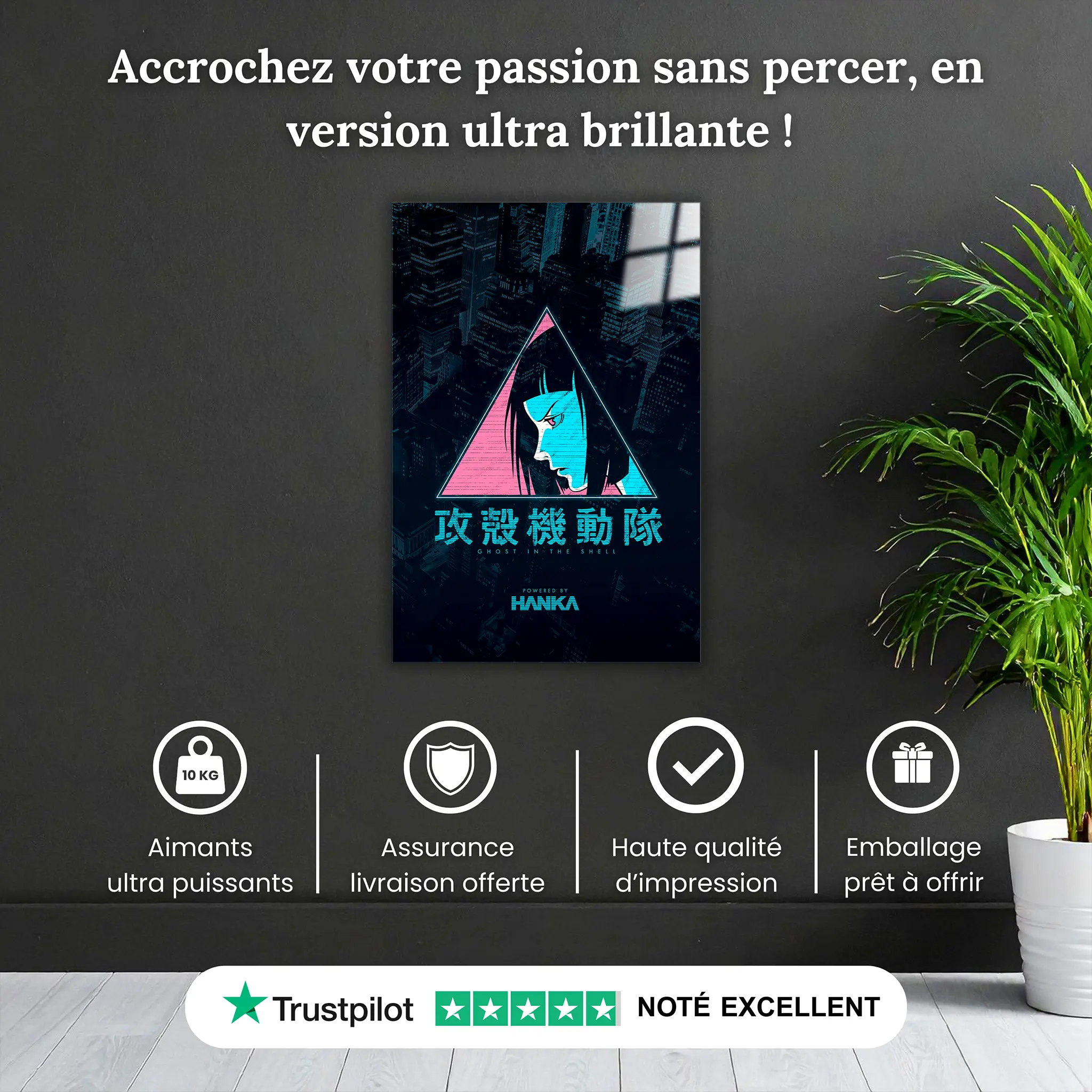 tableau-GITS-cyan-pourquoi-acheter | DreamWay