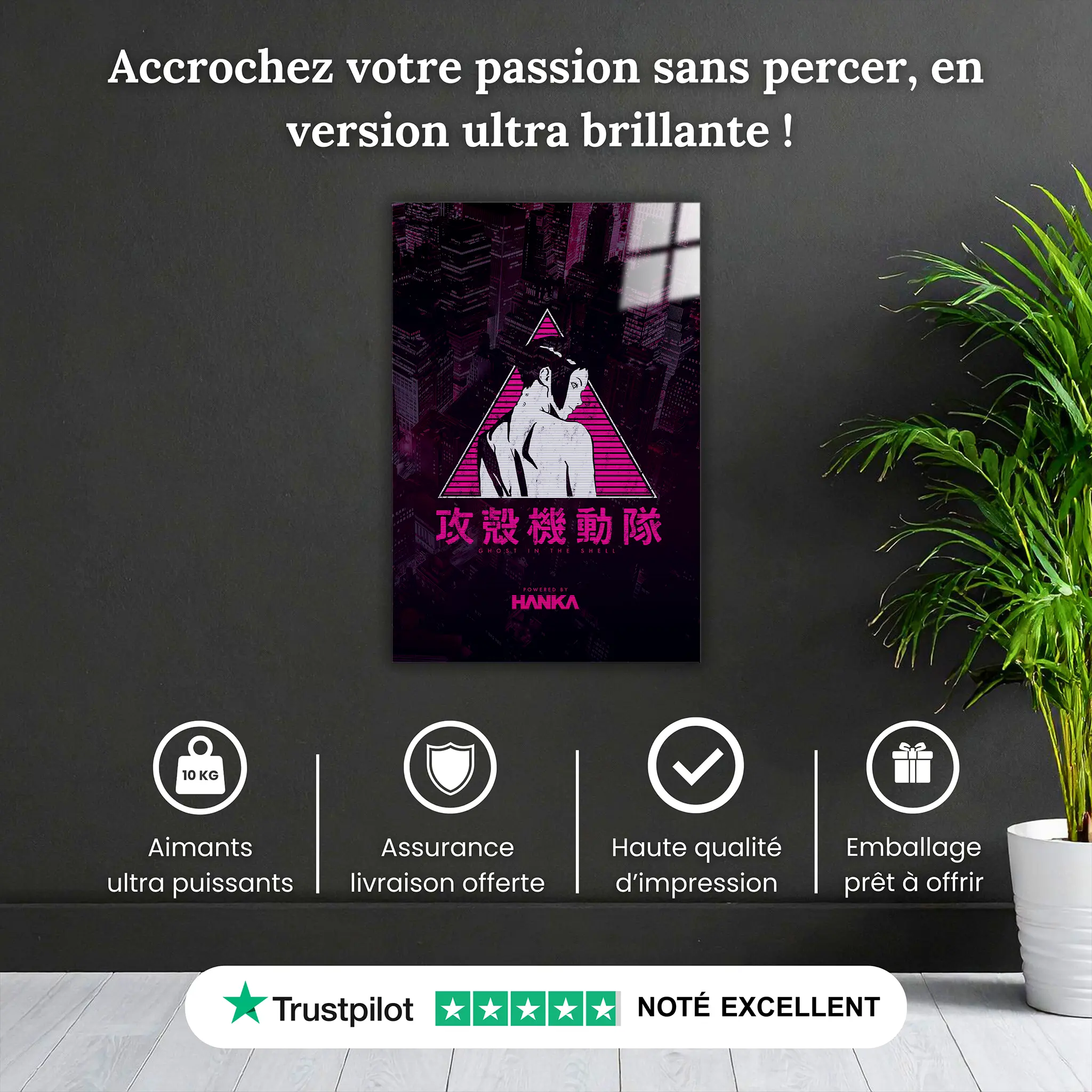 tableau-GITS-pink-pourquoi-acheter | DreamWay