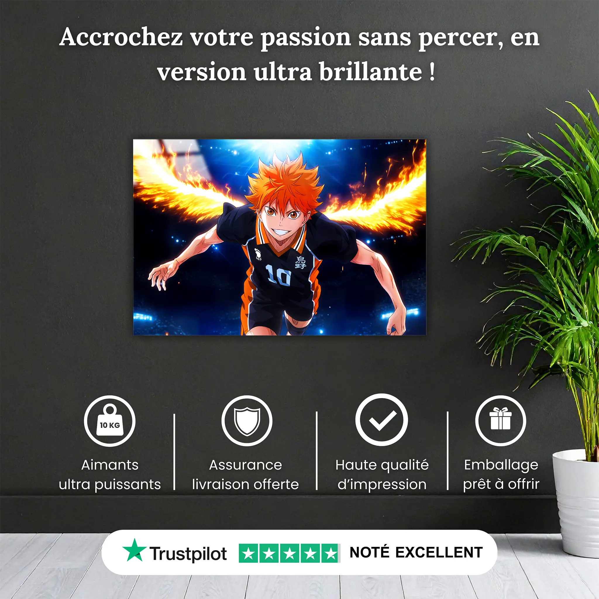 tableau-Haikyu-shoyo-pourquoi-acheter | DreamWay