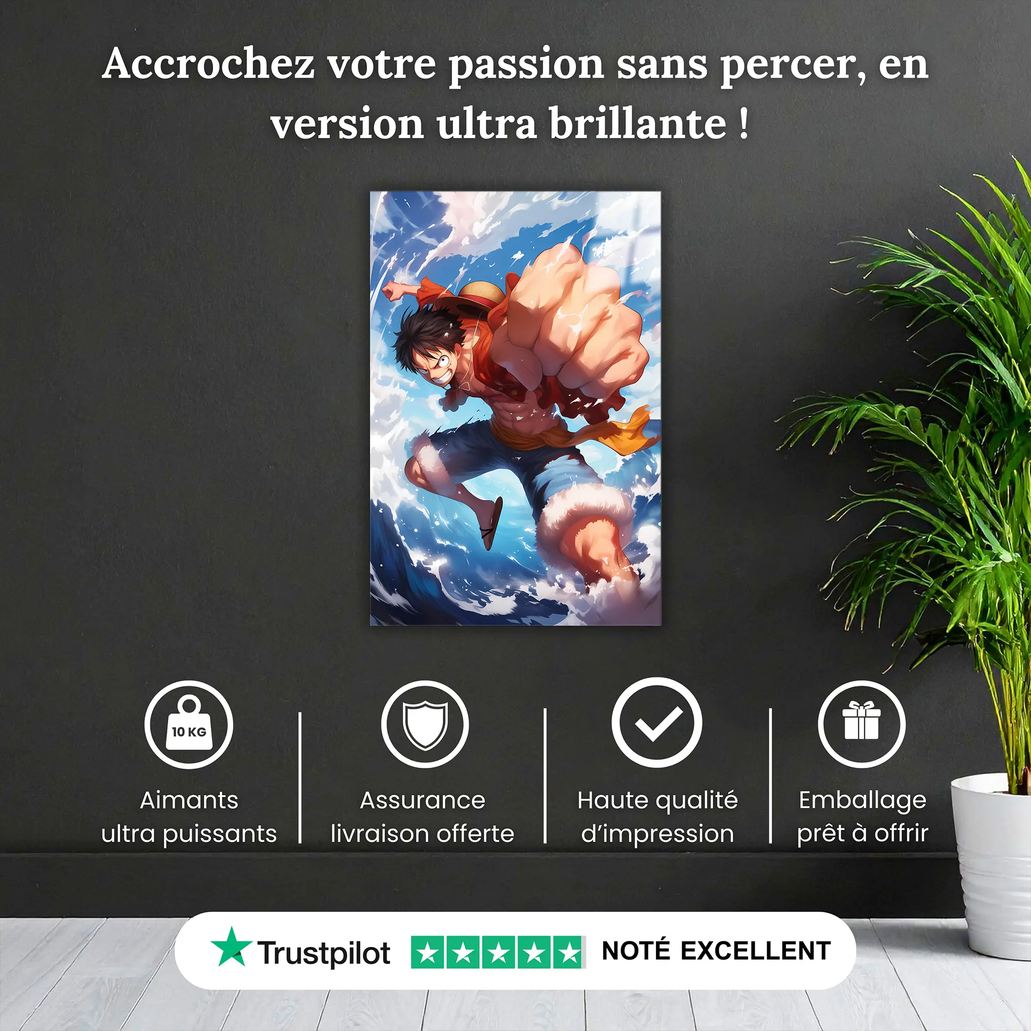 tableau-One-piece-Luffy-coup-de-poing-pourquoi-acheter | DreamWay