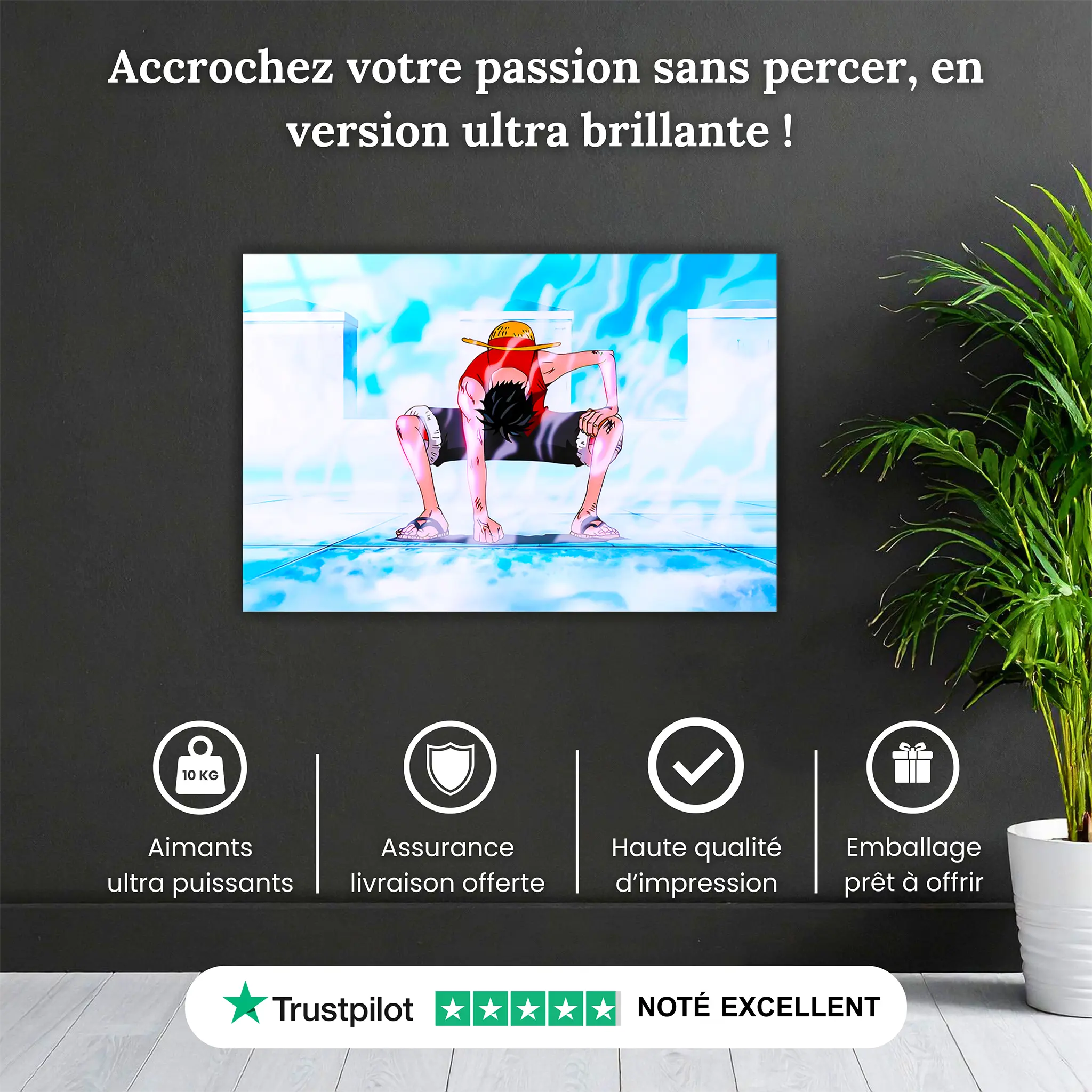 tableau-One-piece-luffy-gear-second-pourquoi-acheter | DreamWay