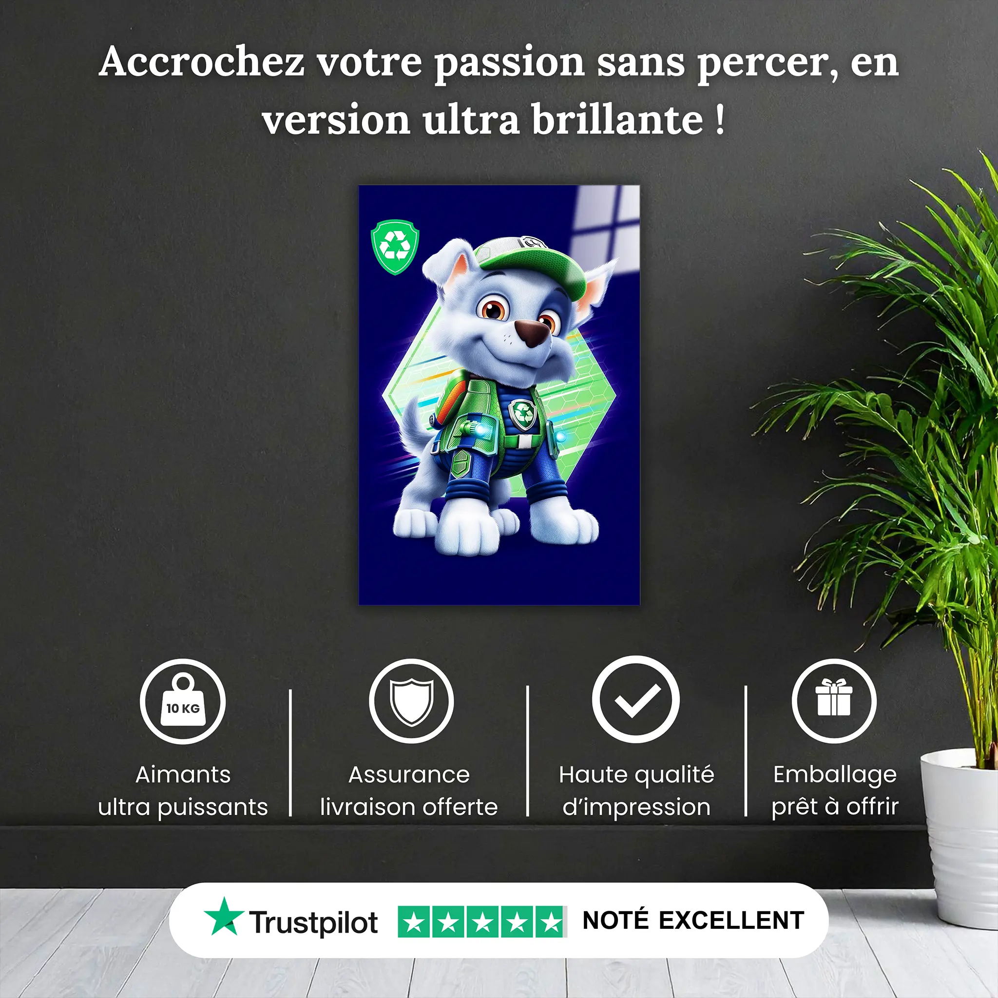 Tableau Rocky Gardien De La Planète