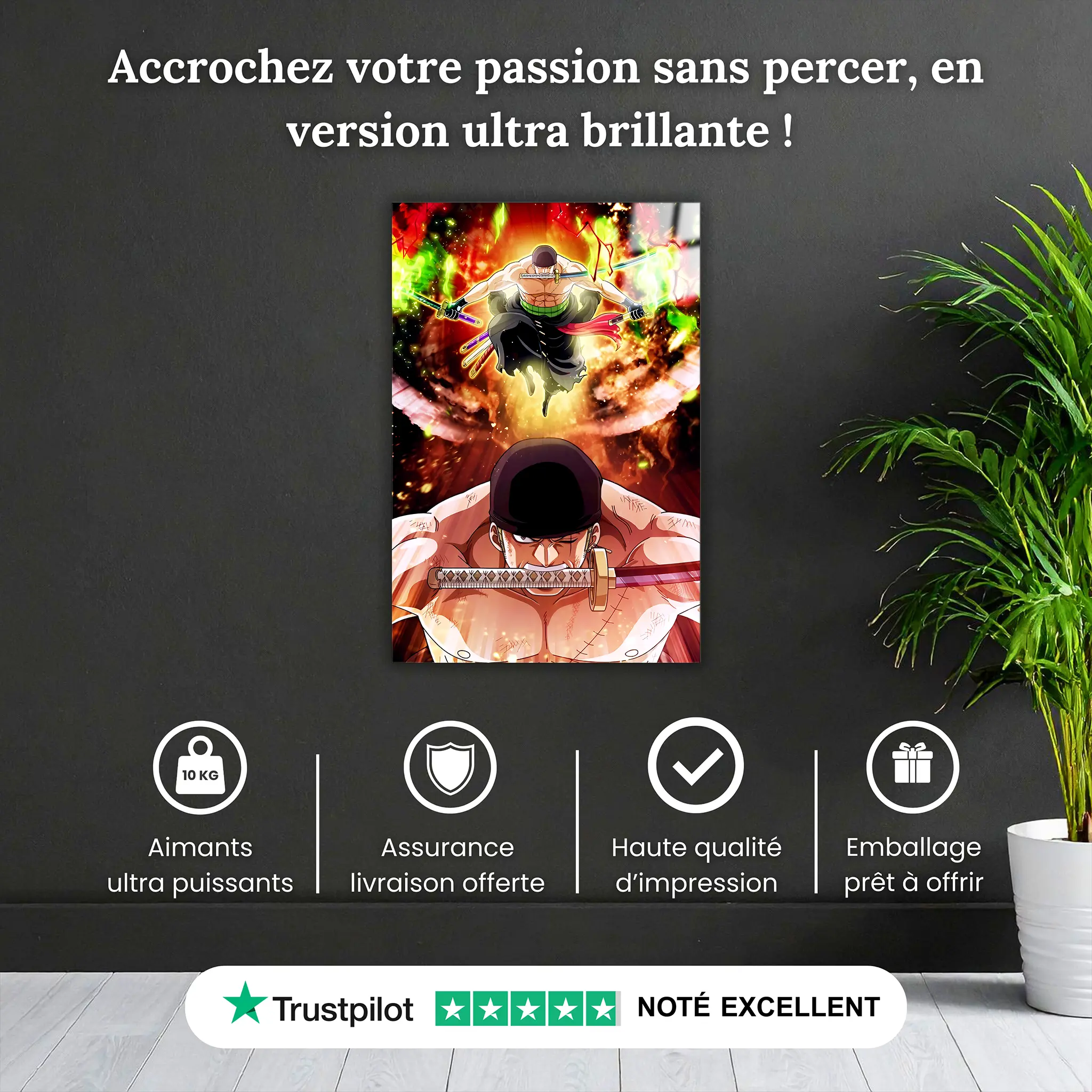 tableau-Zoro-attaque-pourquoi-acheter | DreamWay