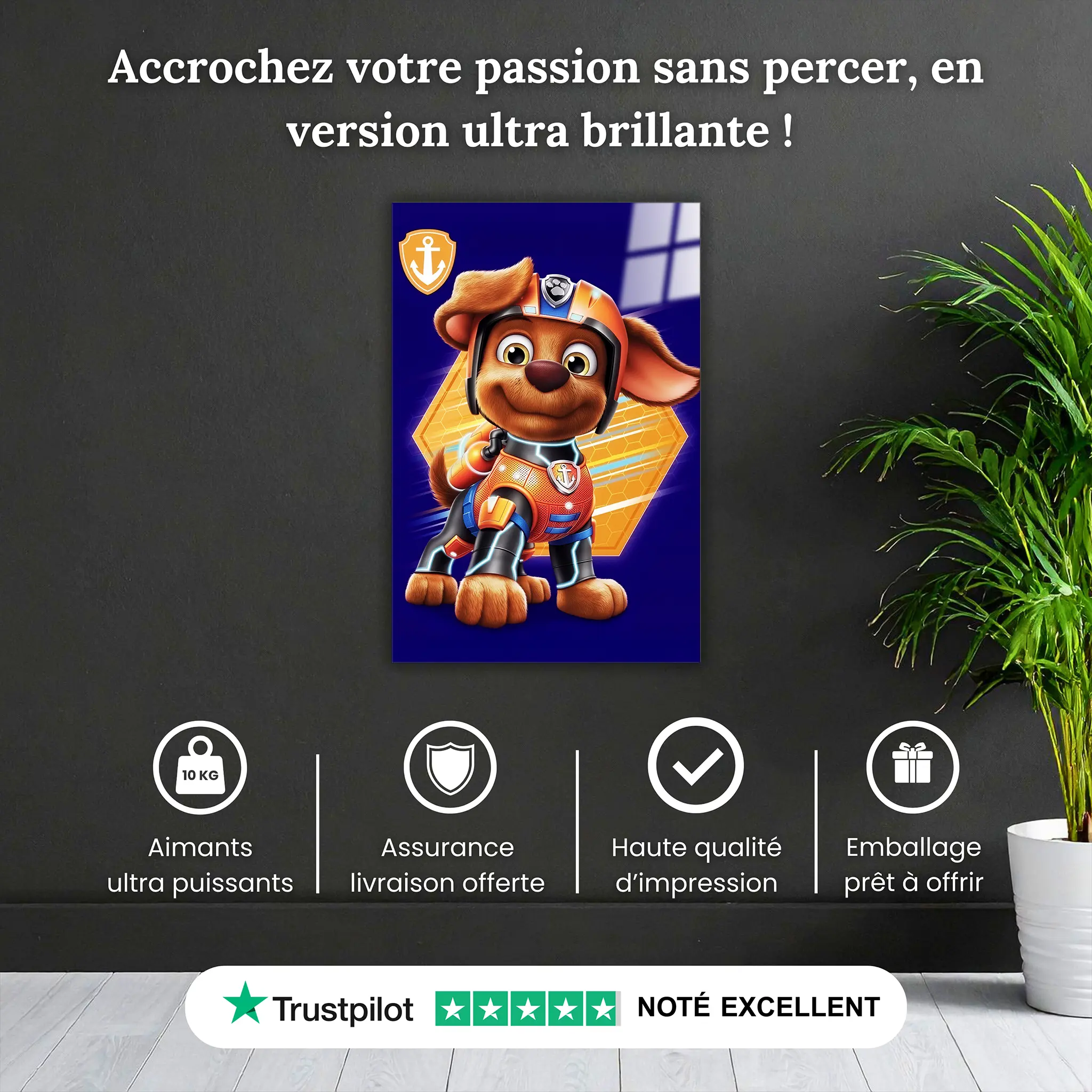 Tableau Zuma Le Marin