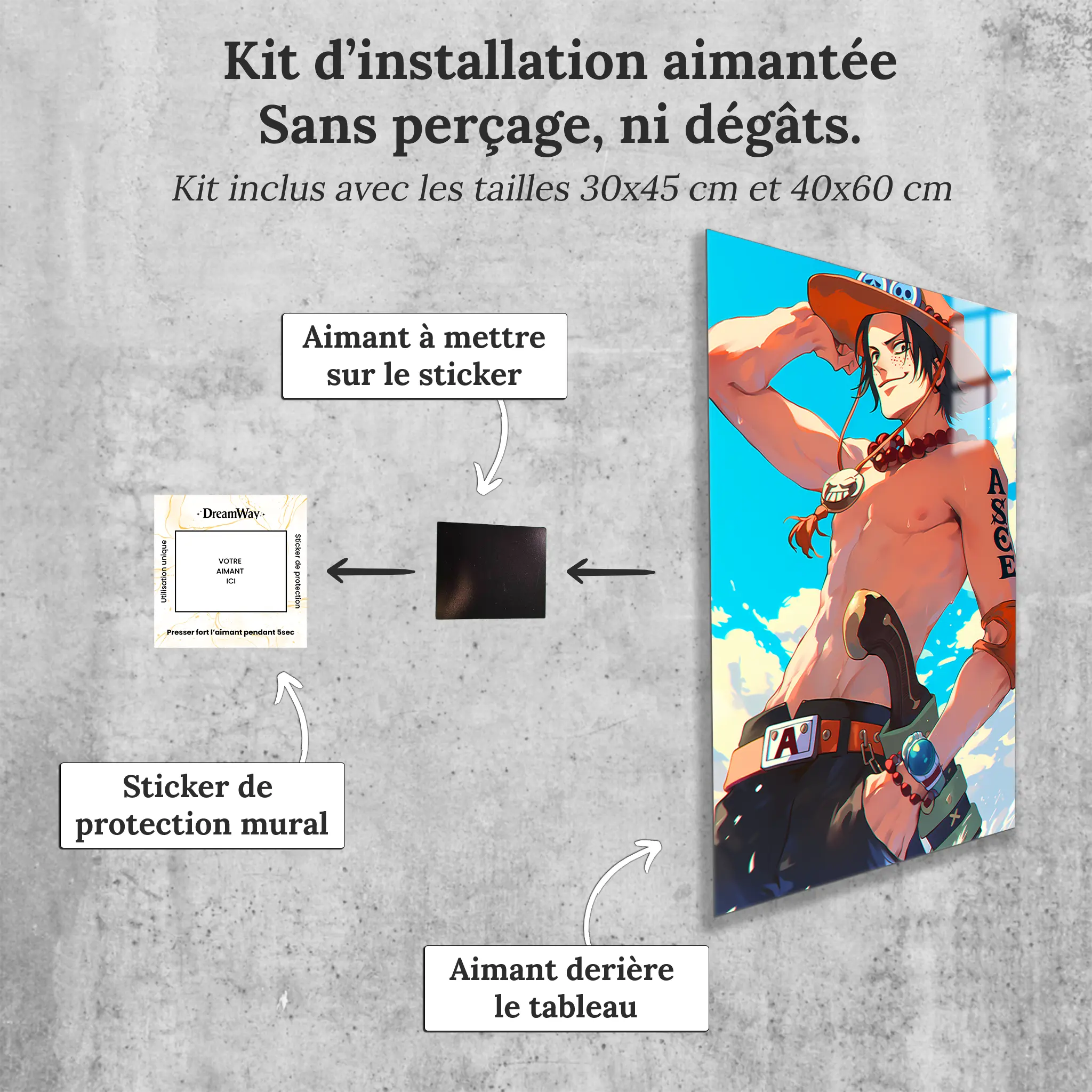 tableau-ace-one-piece-avec-installation-aimantee | DreamWay