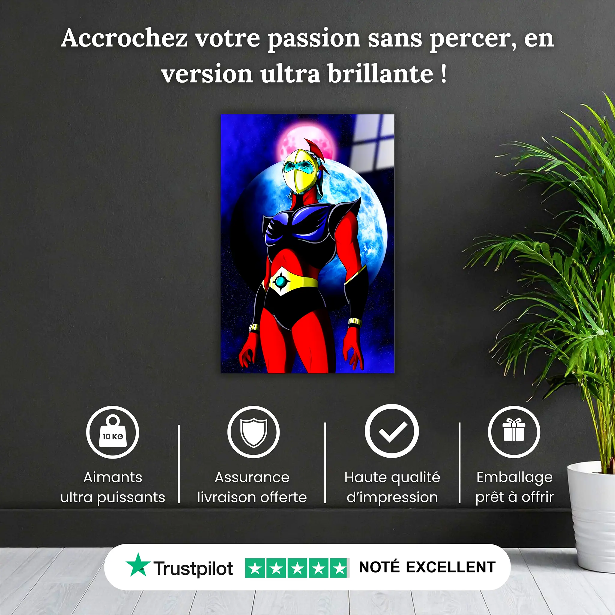 tableau-actarus-dans-espace-pourquoi-acheter | DreamWay