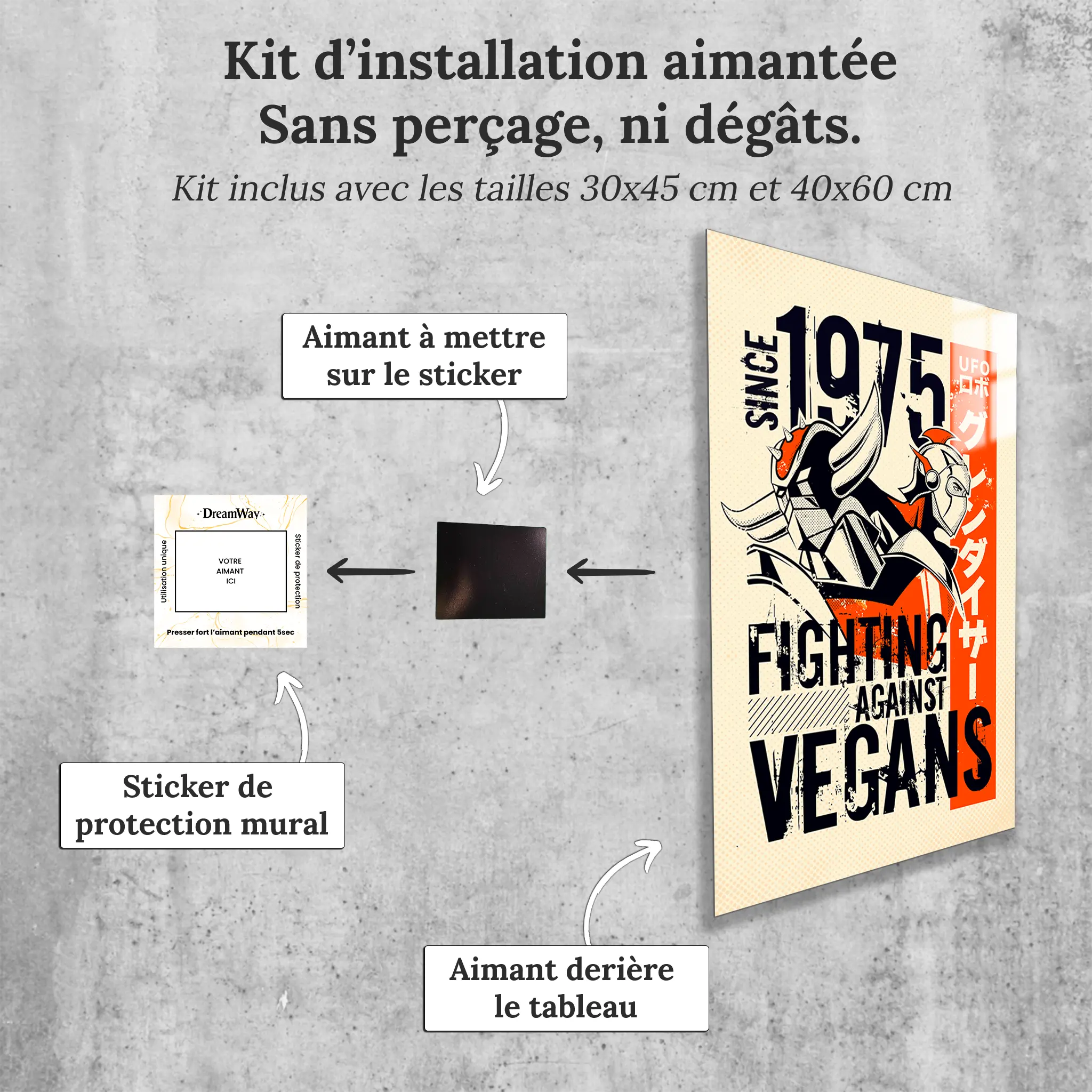 tableau-actarus-et-goldorak-affiche-retro-avec-installation-aimantee | DreamWay
