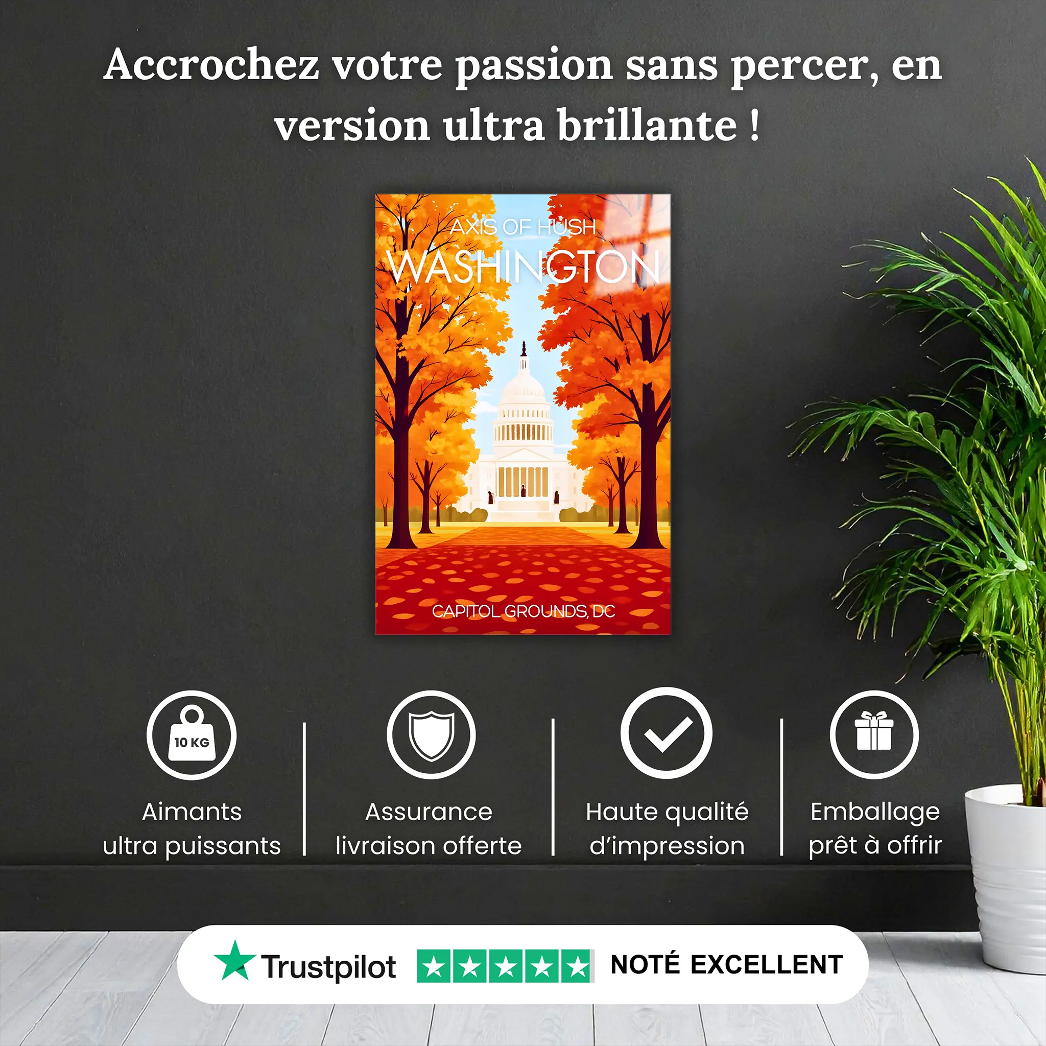 tableau-affiche-axis-of-hush-washington-pourquoi-acheter | DreamWay