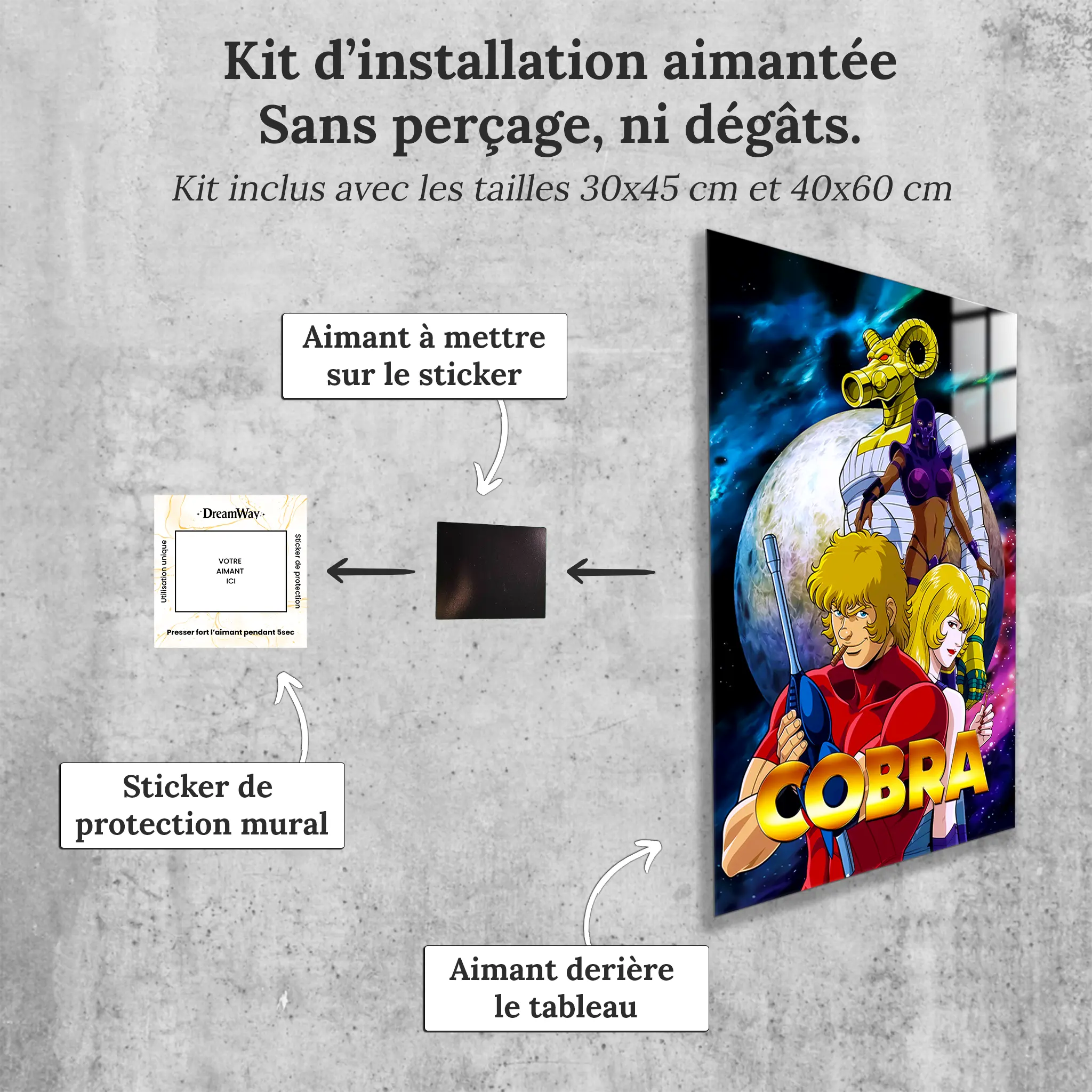 tableau-affiche-cobra-avec-installation-aimantee | DreamWay