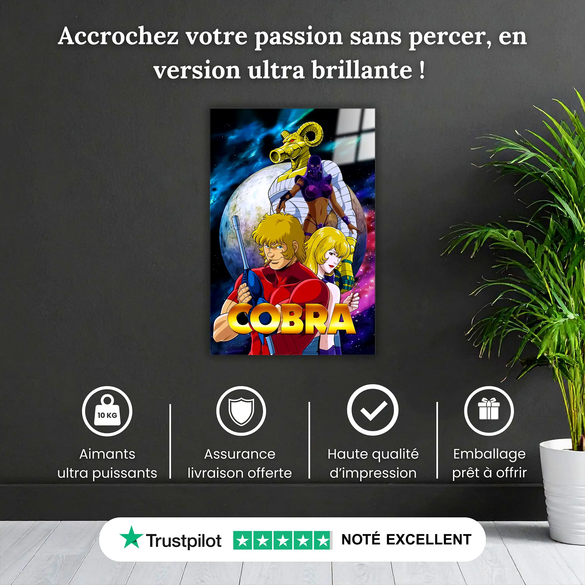 tableau-affiche-cobra-pourquoi-acheter | DreamWay