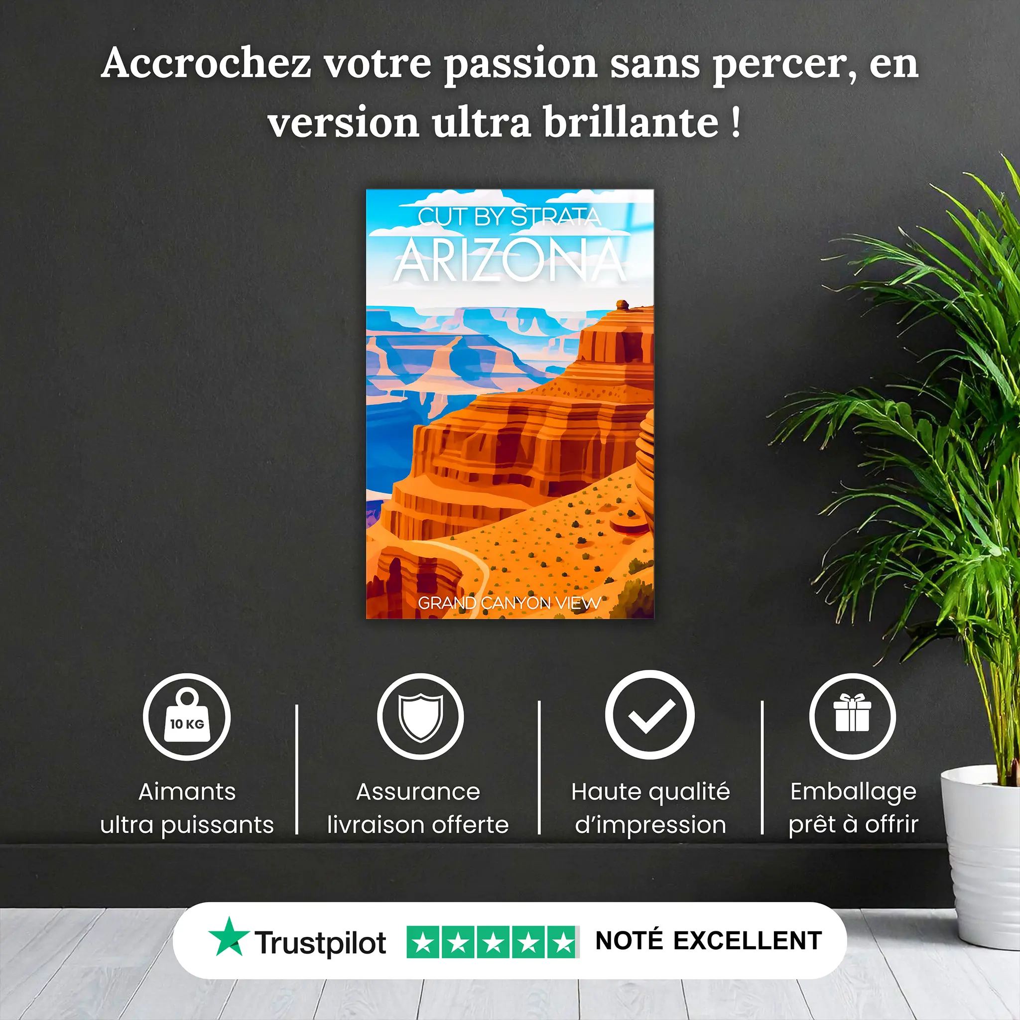 tableau-affiche-cut-by-strata-arizona-pourquoi-acheter | DreamWay