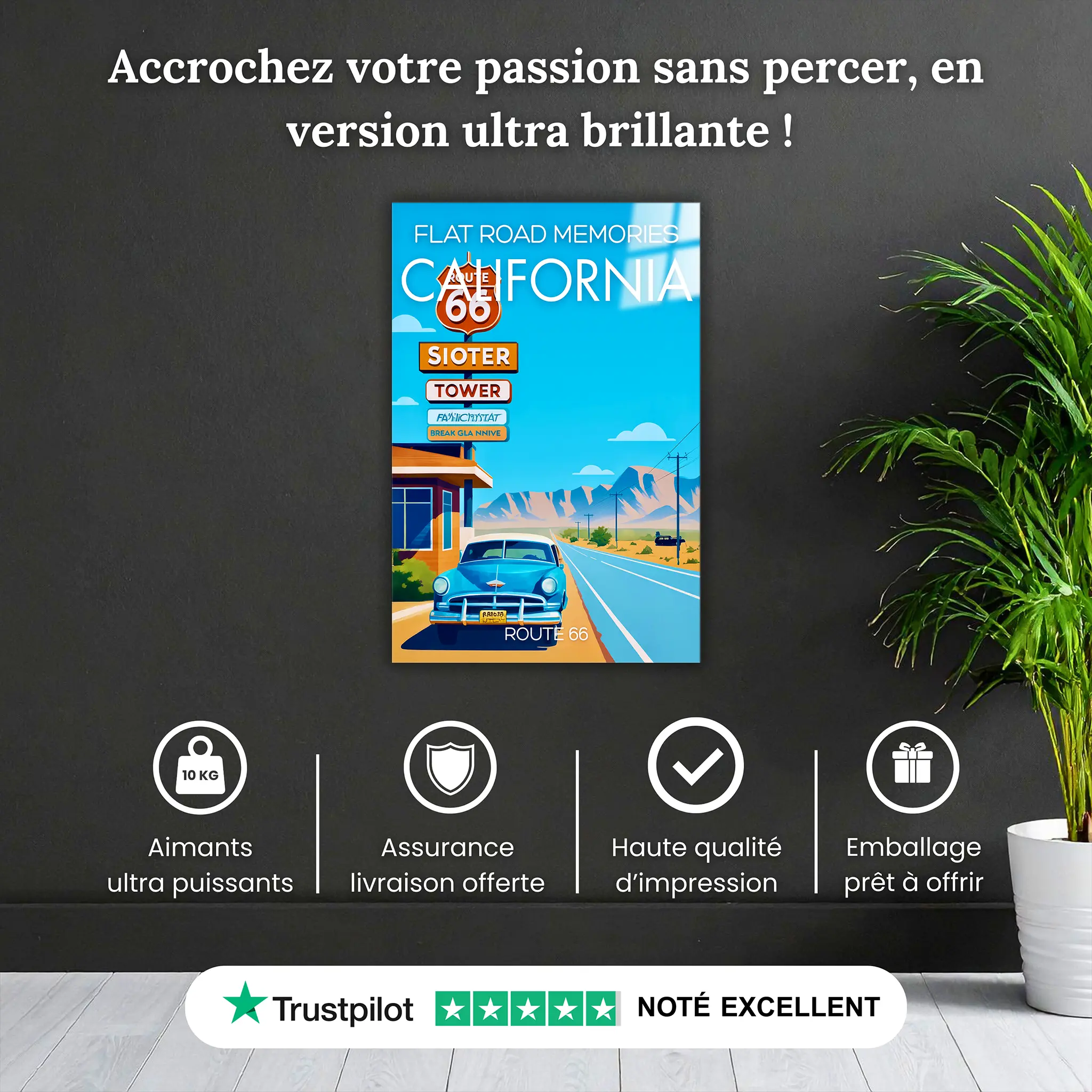 tableau-affiche-flat-memories-california-pourquoi-acheter | DreamWay