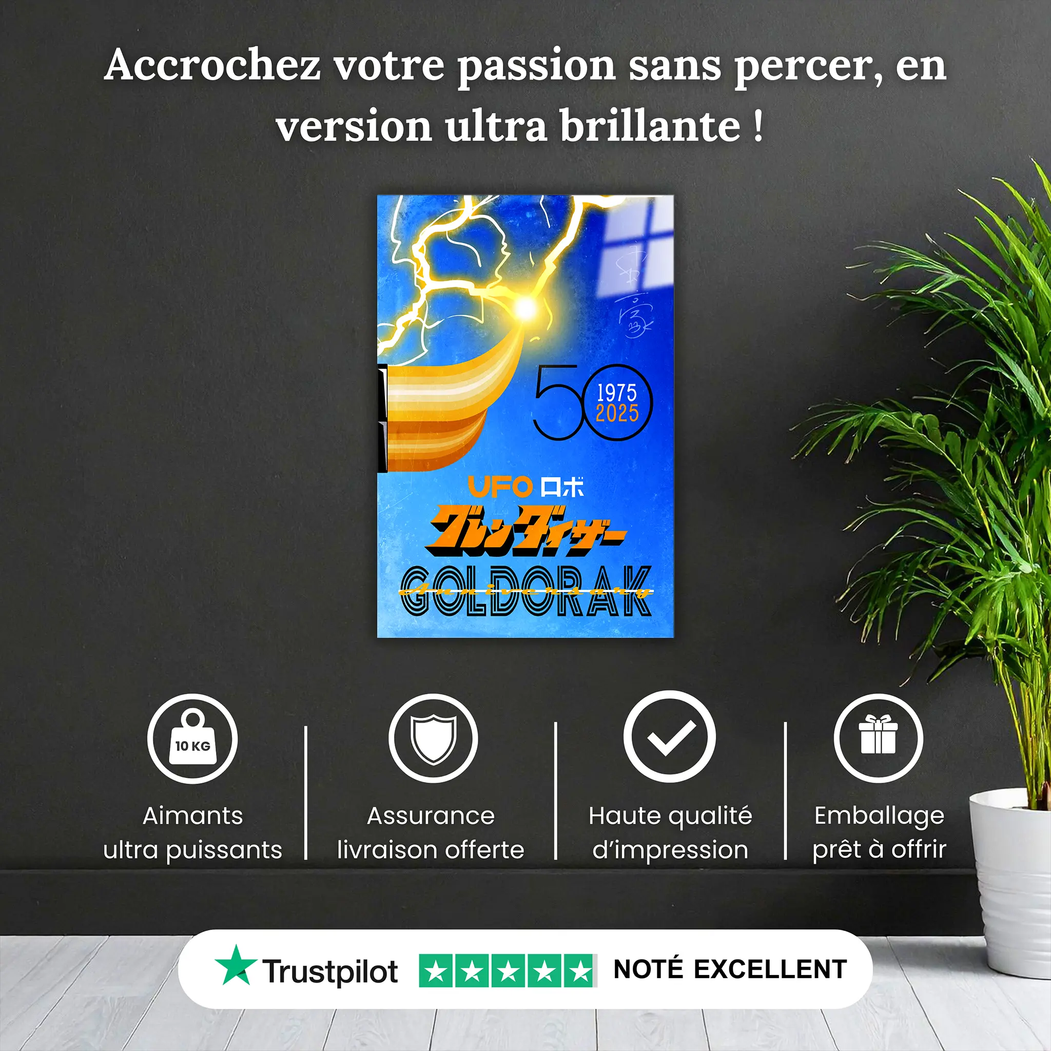 tableau-affiche-goldorak-50-ans-bleu-pourquoi-acheter | DreamWay
