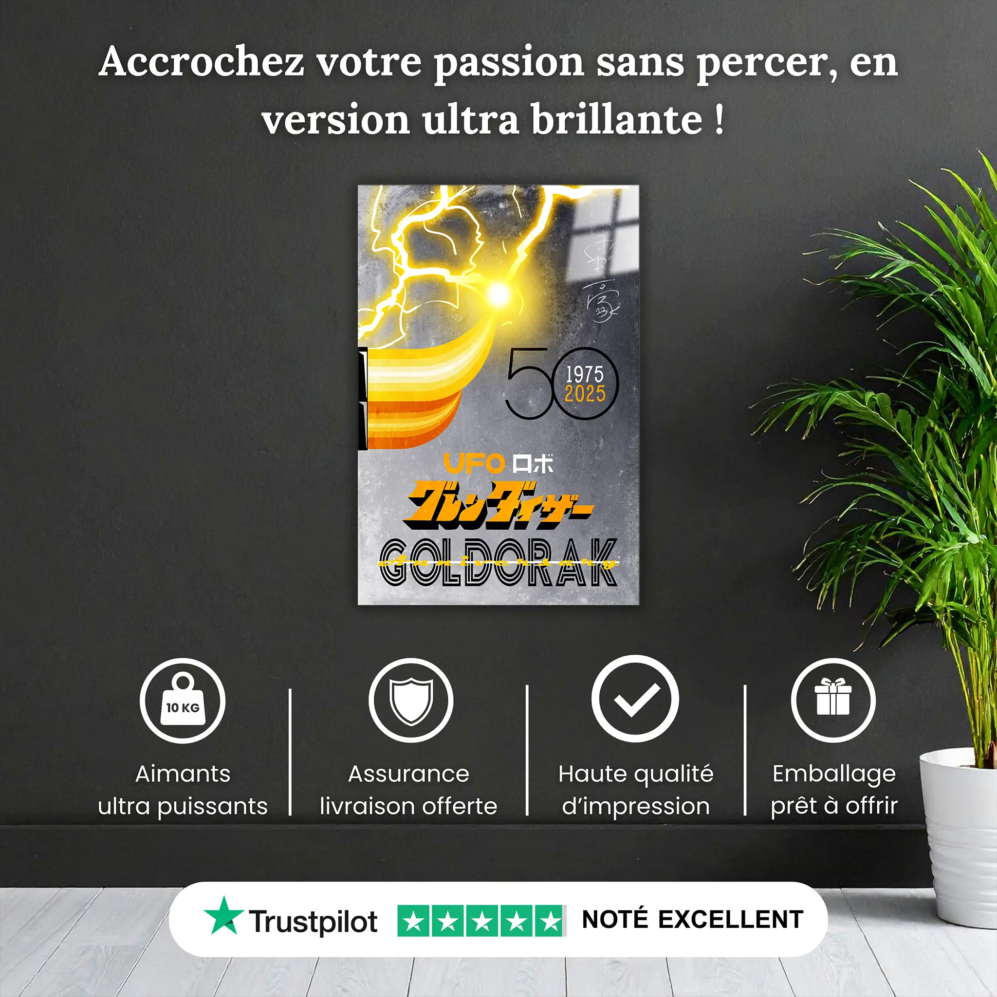 tableau-affiche-goldorak-50-ans-gris-pourquoi-acheter | DreamWay