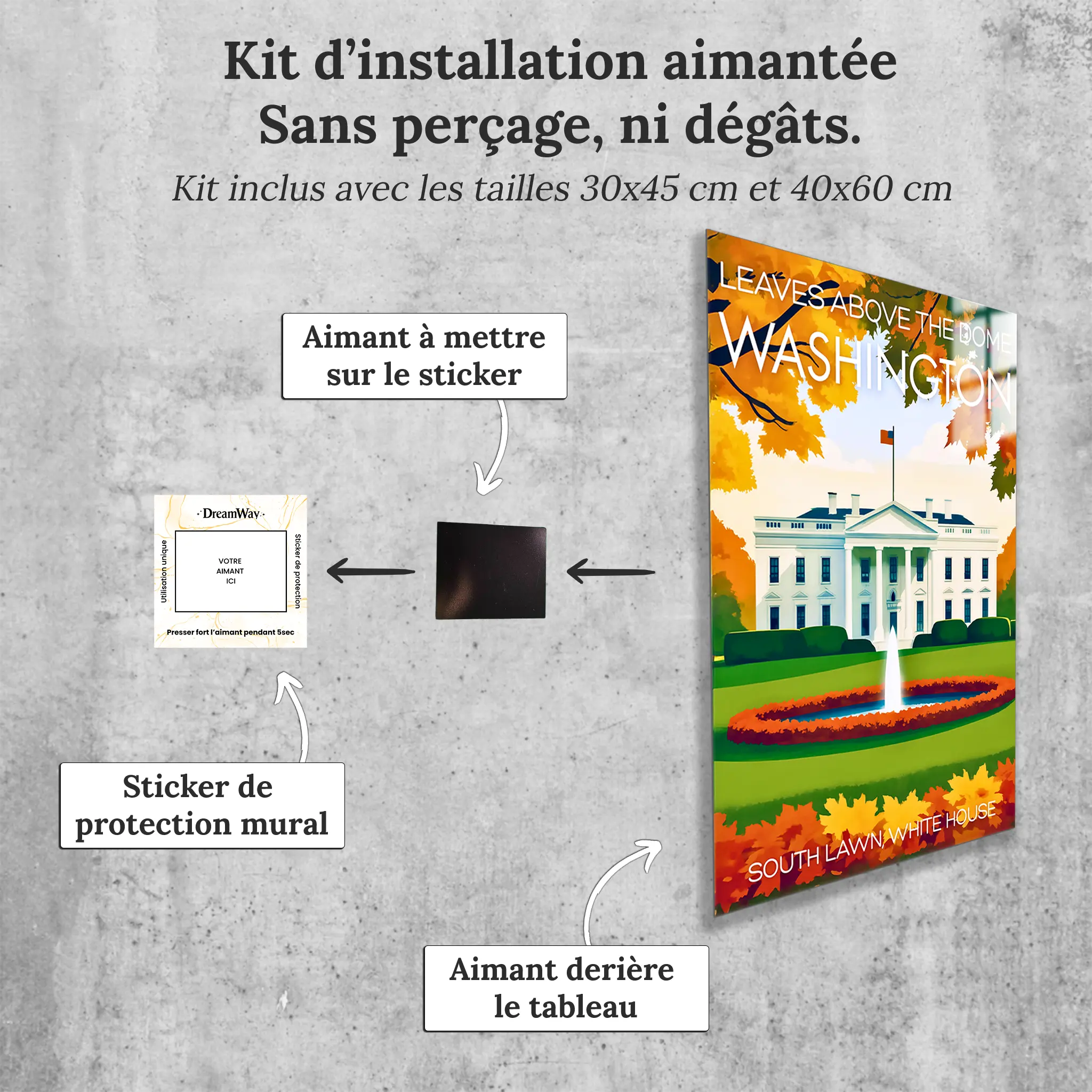 tableau-affiche-leaves-above-the-dome-washington-avec-installation-aimantee | DreamWay
