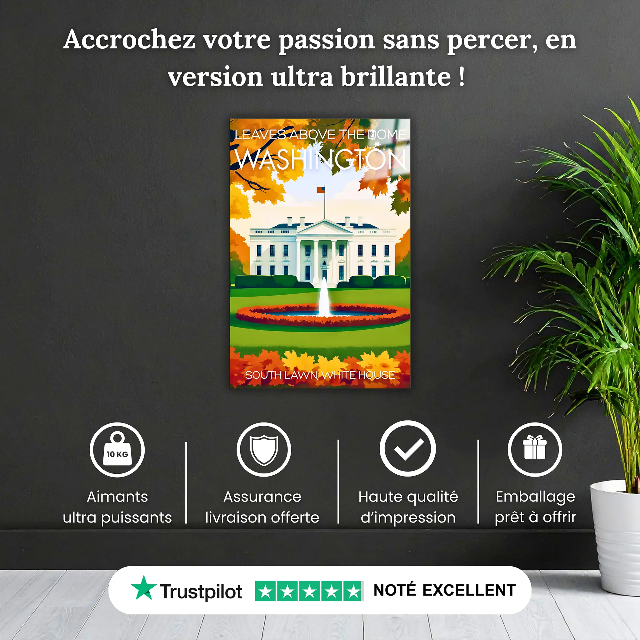 tableau-affiche-leaves-above-the-dome-washington-pourquoi-acheter | DreamWay