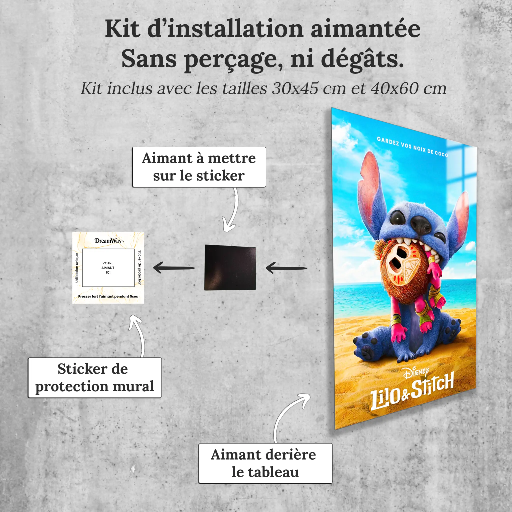 tableau-affiche-lilo-et-stitch-le-film-avec-installation-aimantee | DreamWay
