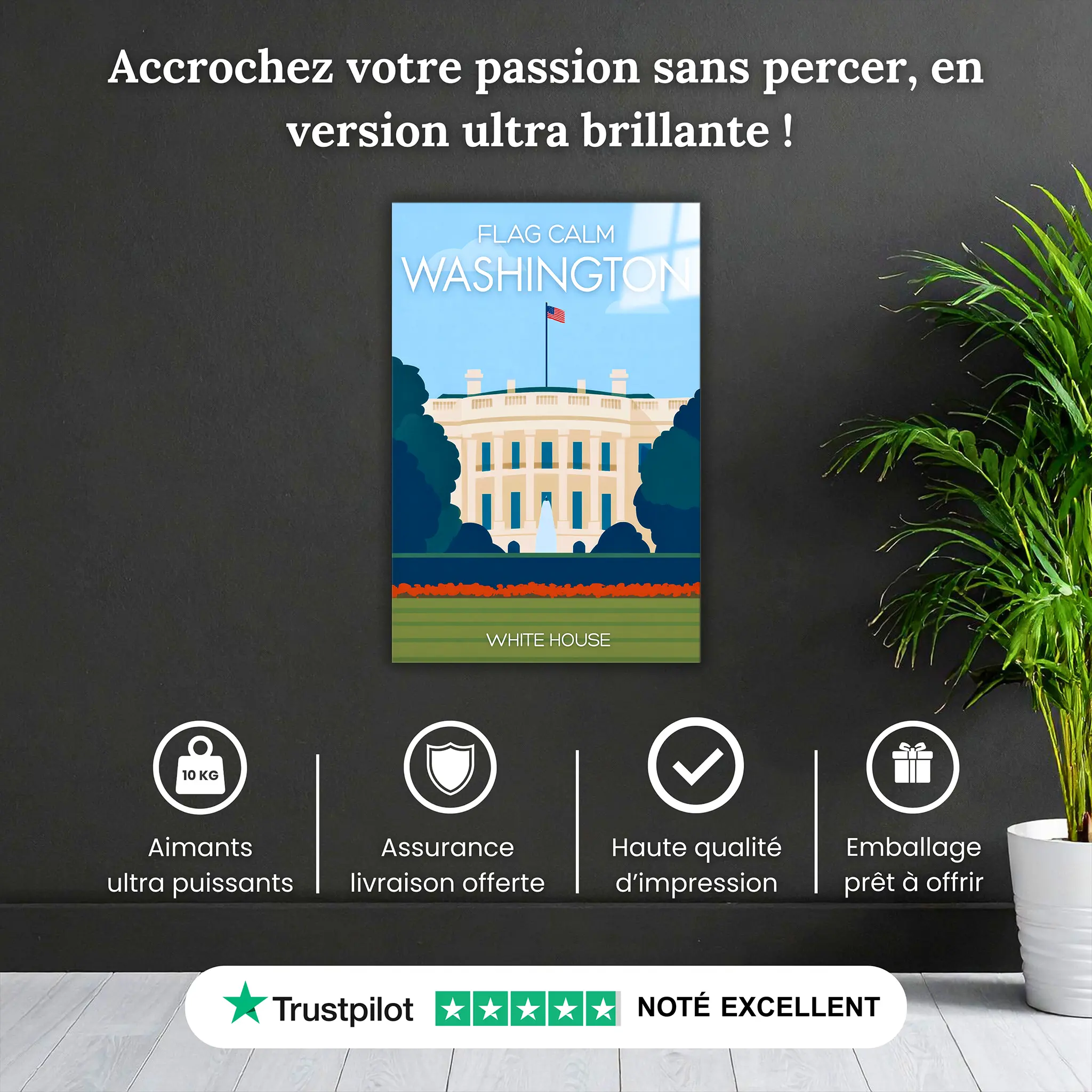 tableau-affiche-white-house-washington-pourquoi-acheter | DreamWay