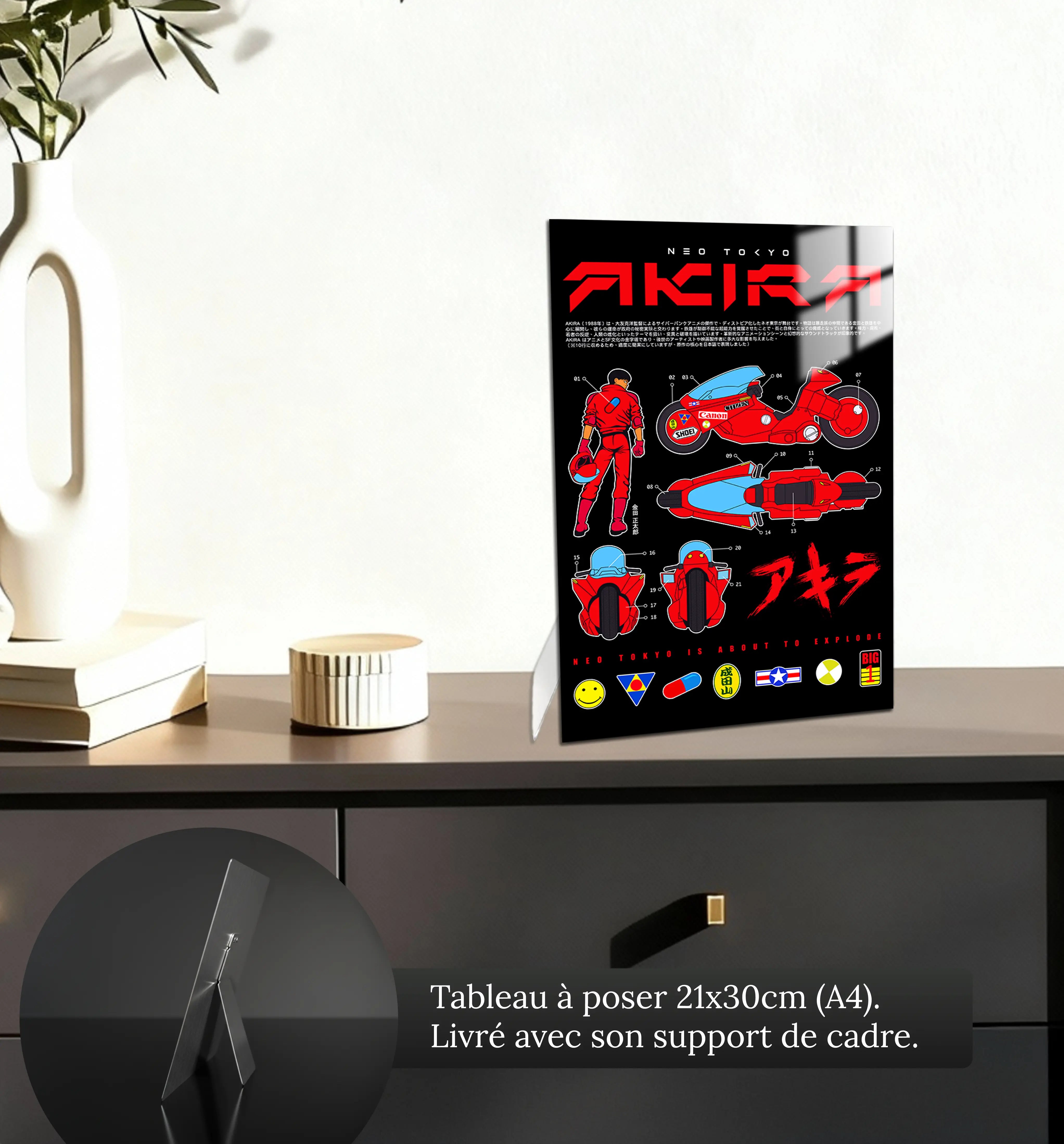 Tableau Akira Kaneda