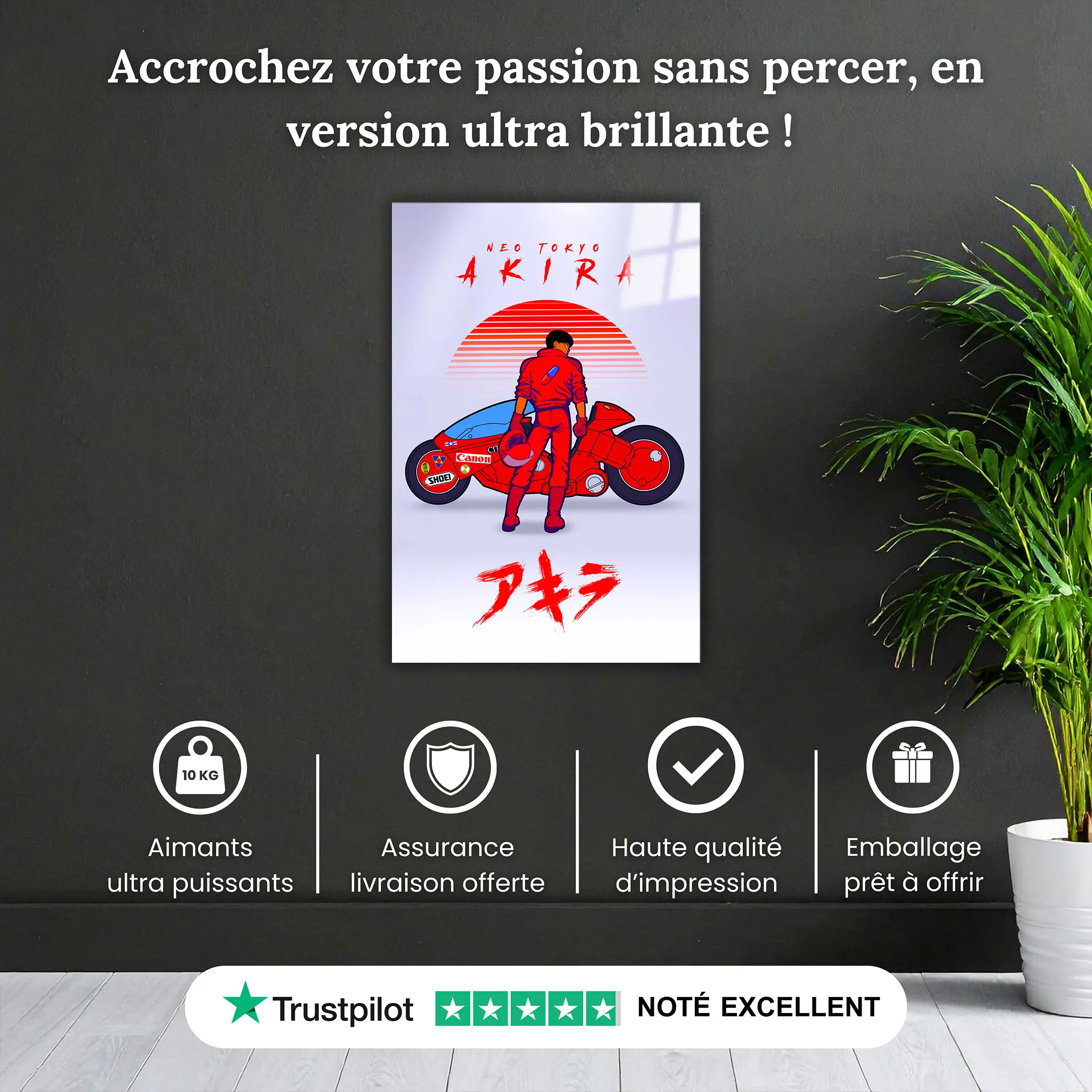 tableau-akira-pourquoi-acheter | DreamWay