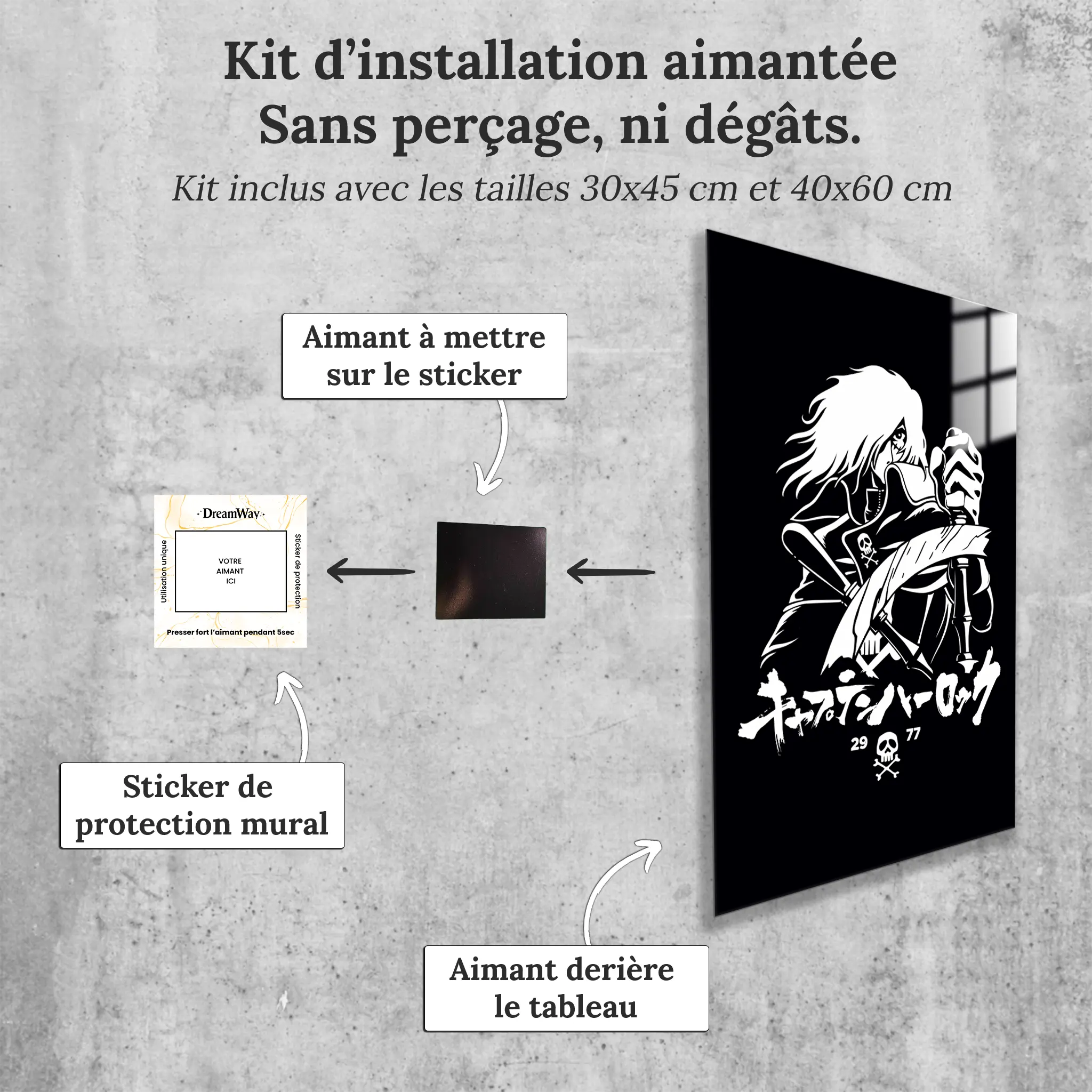 tableau-albator-29-77-avec-installation-aimantee | DreamWay
